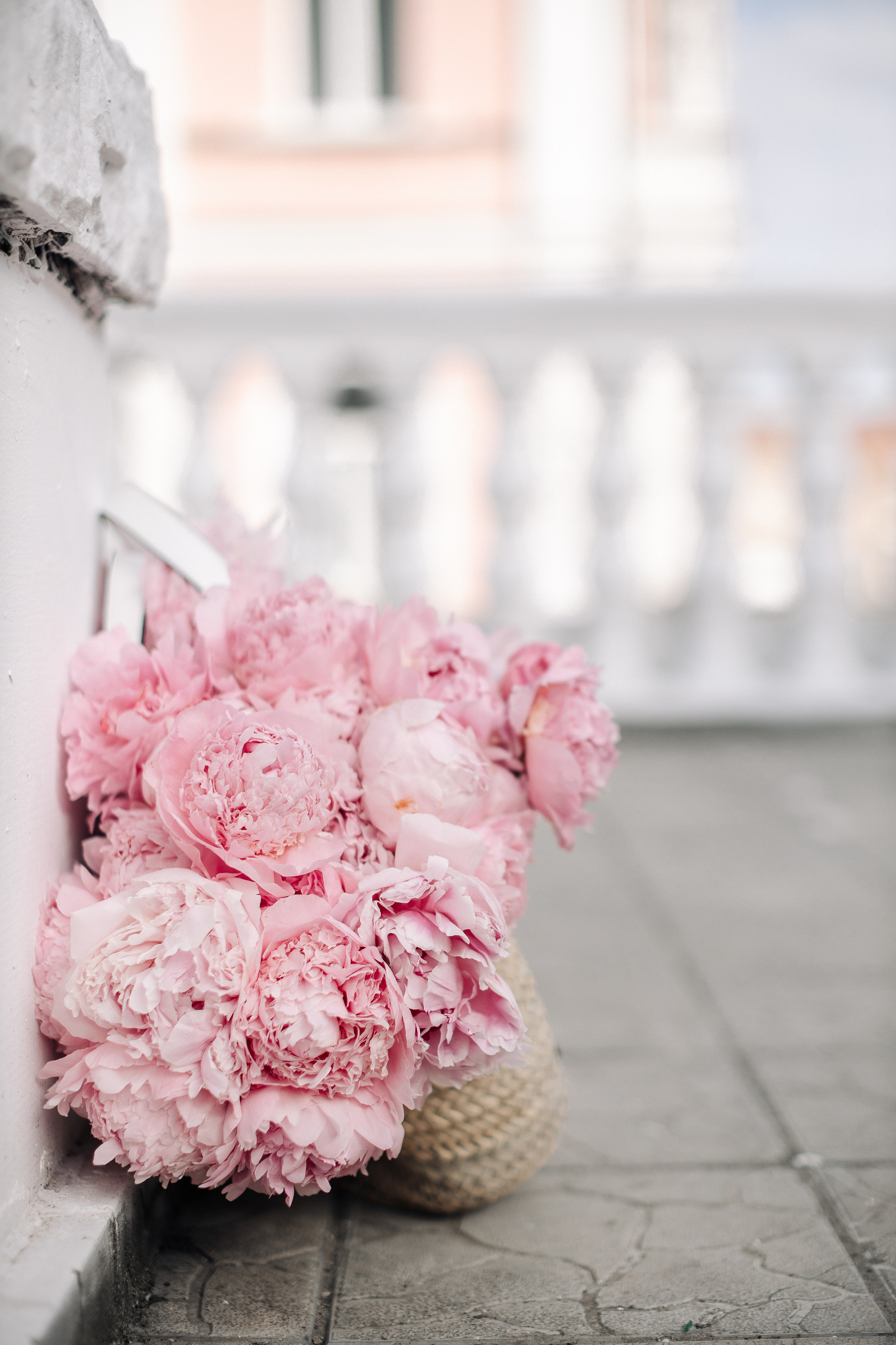 Півонії. Портретний і сімейний фотограф Київ