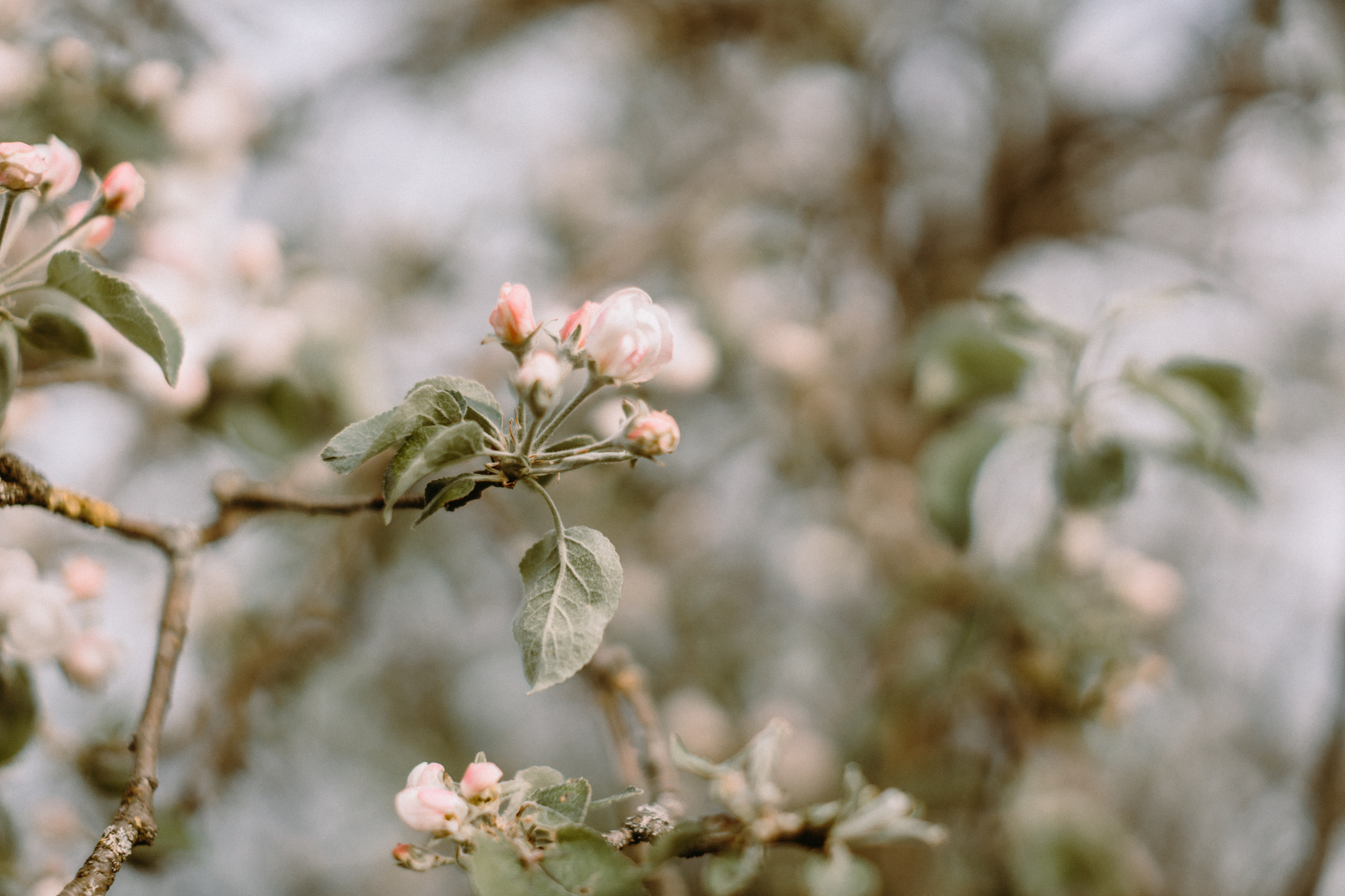 WAR…MAY 2022. Портретний і сімейний фотограф Київ
