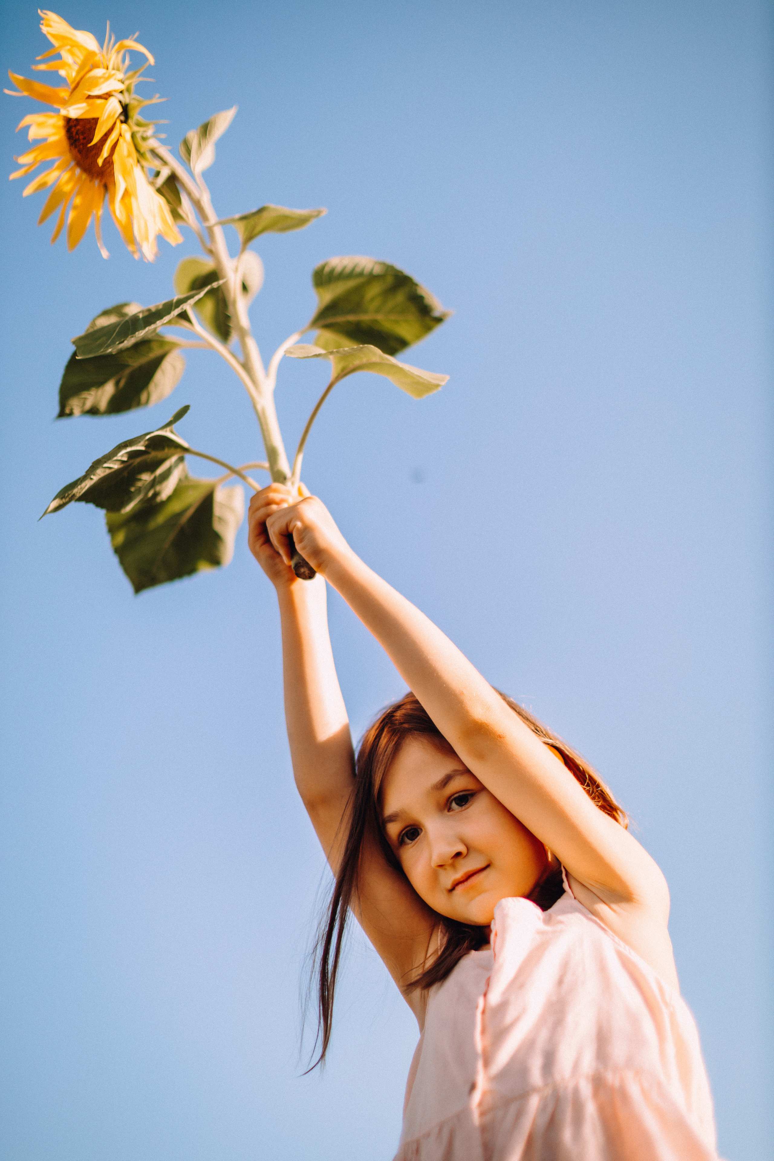 Sunflowers. Портретний і сімейний фотограф Київ
