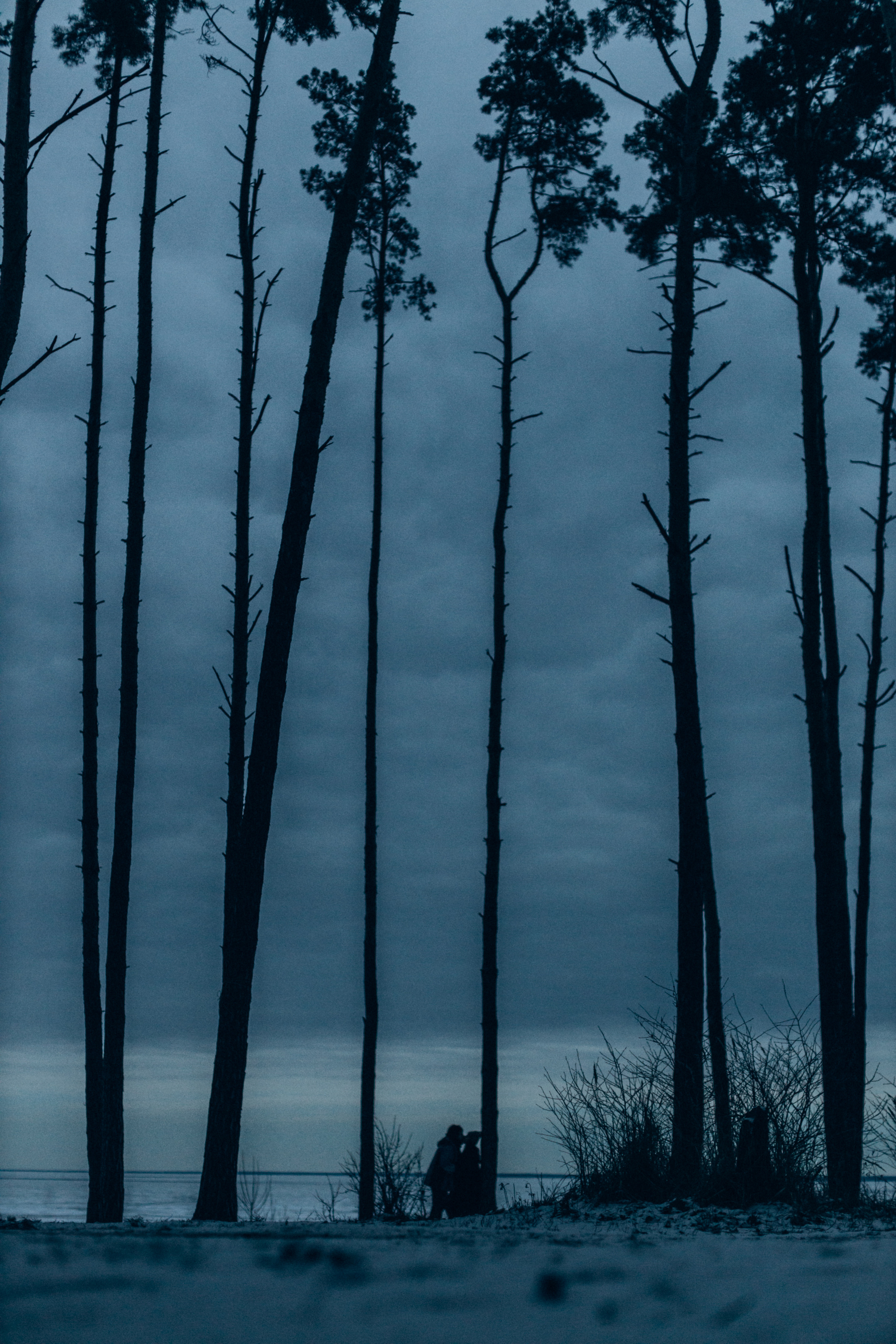 Настя&Вова. Портретний і сімейний фотограф Київ