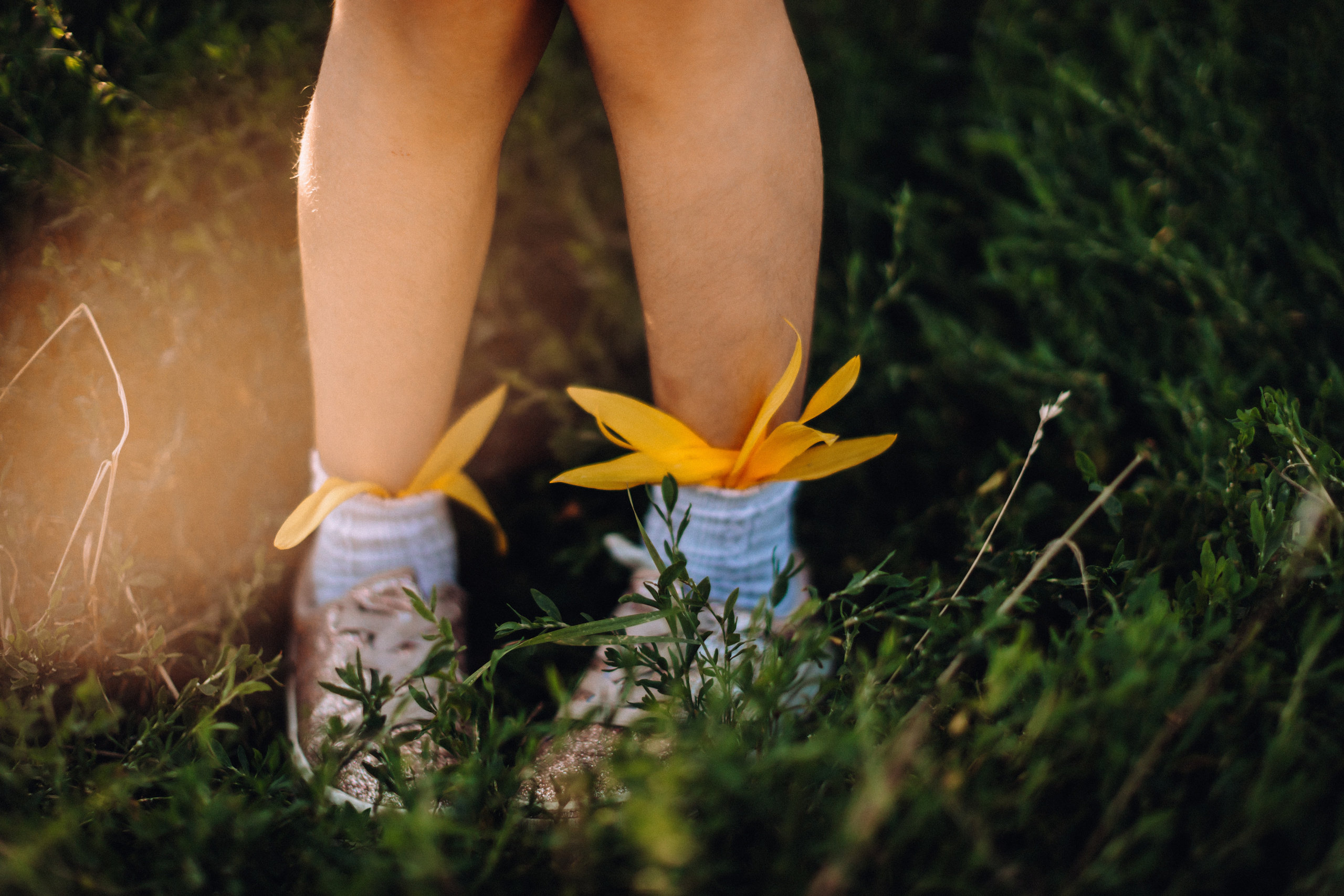 Sunflowers. Портретний і сімейний фотограф Київ