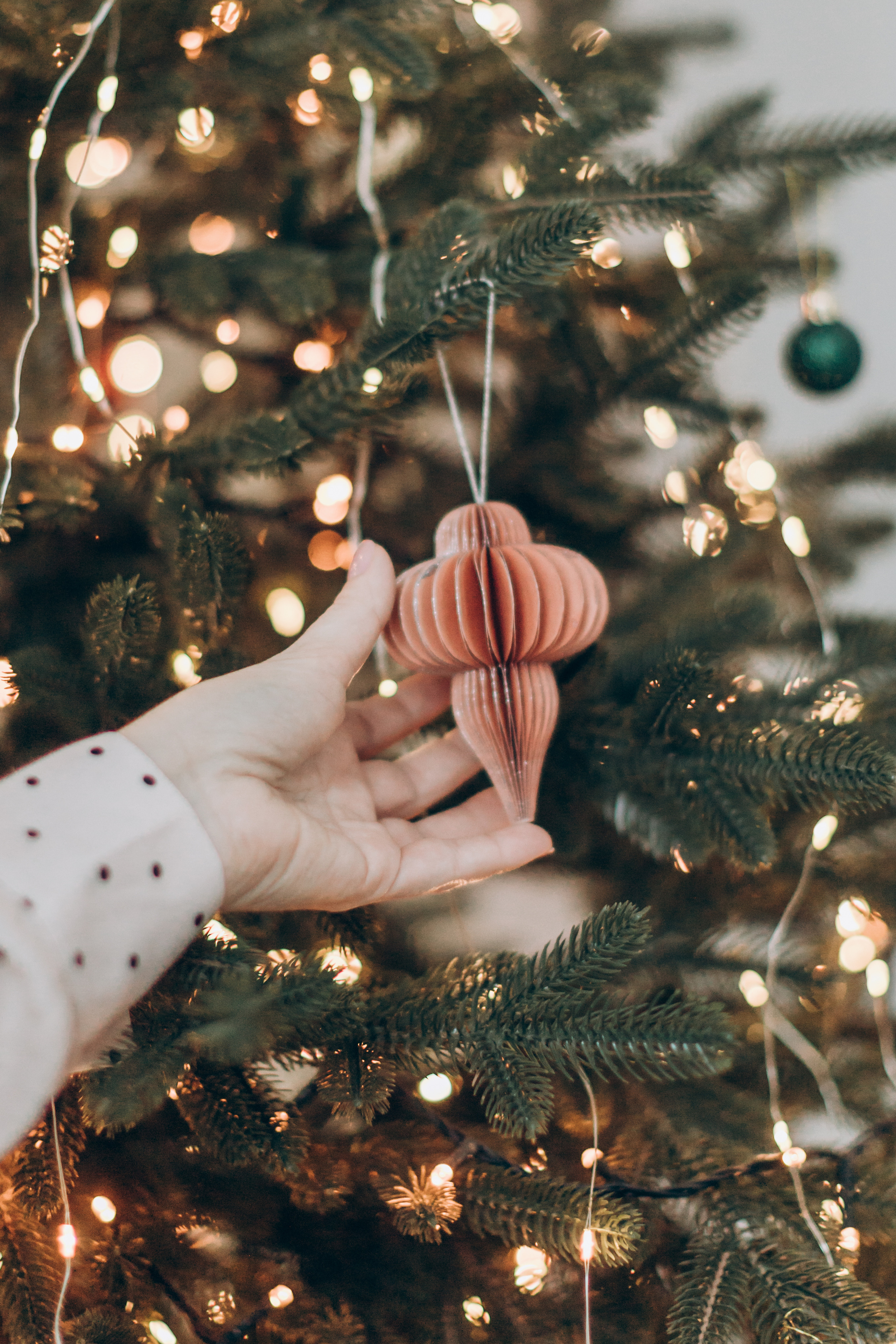 Lerochka. Портретний і сімейний фотограф Київ