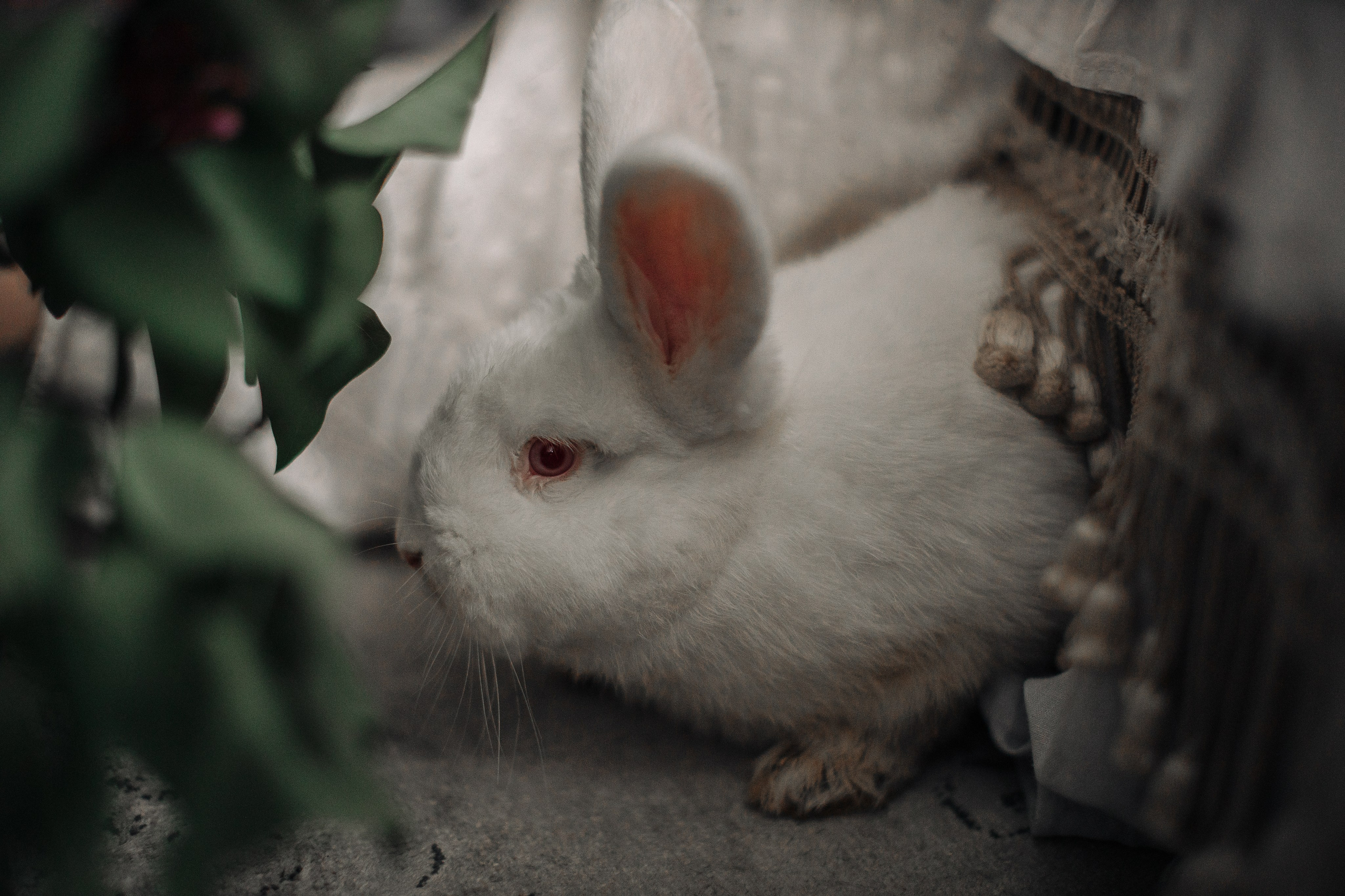 Подружки. Портретний і сімейний фотограф Київ