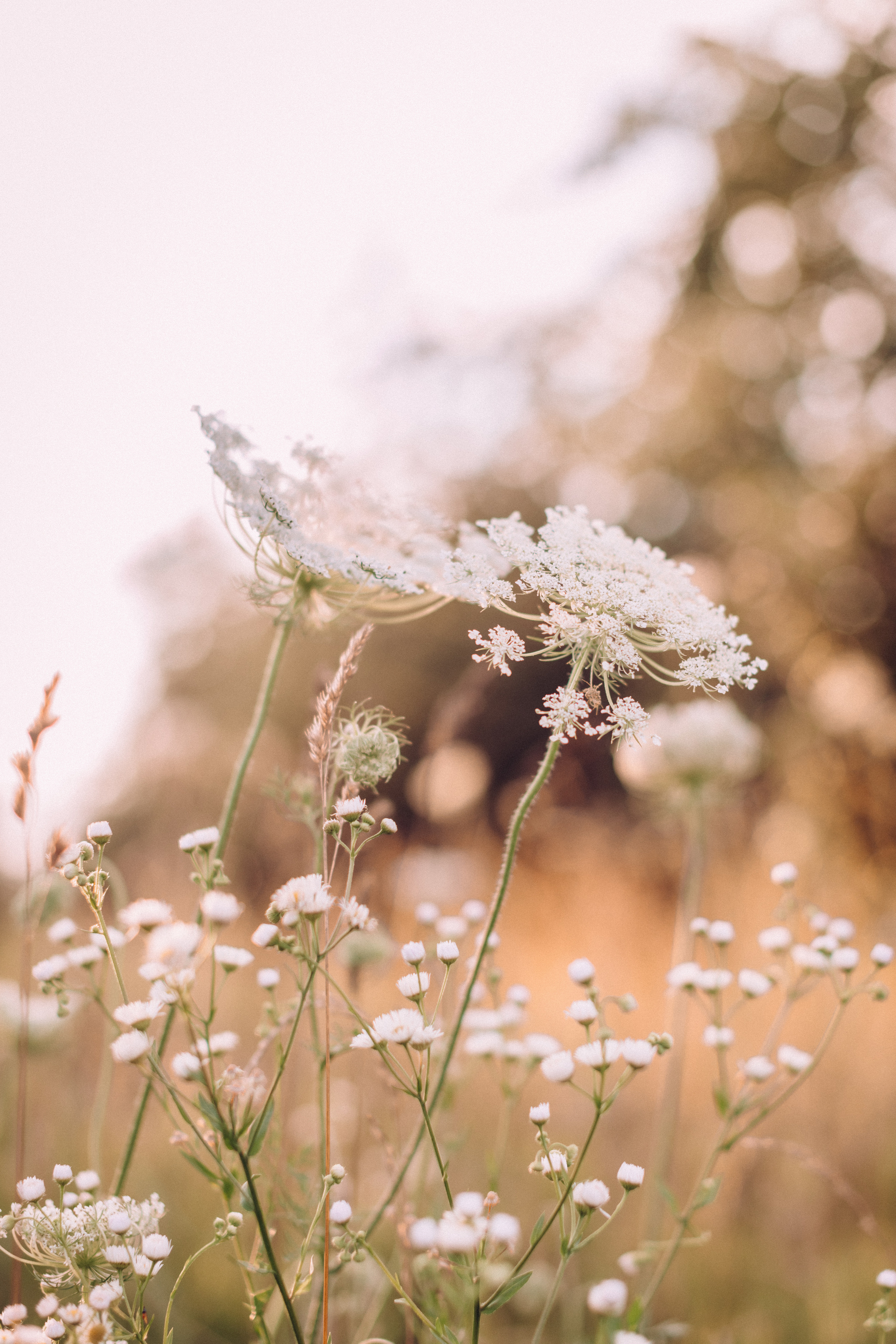 Anya&Sofiya. Портретний і сімейний фотограф Київ