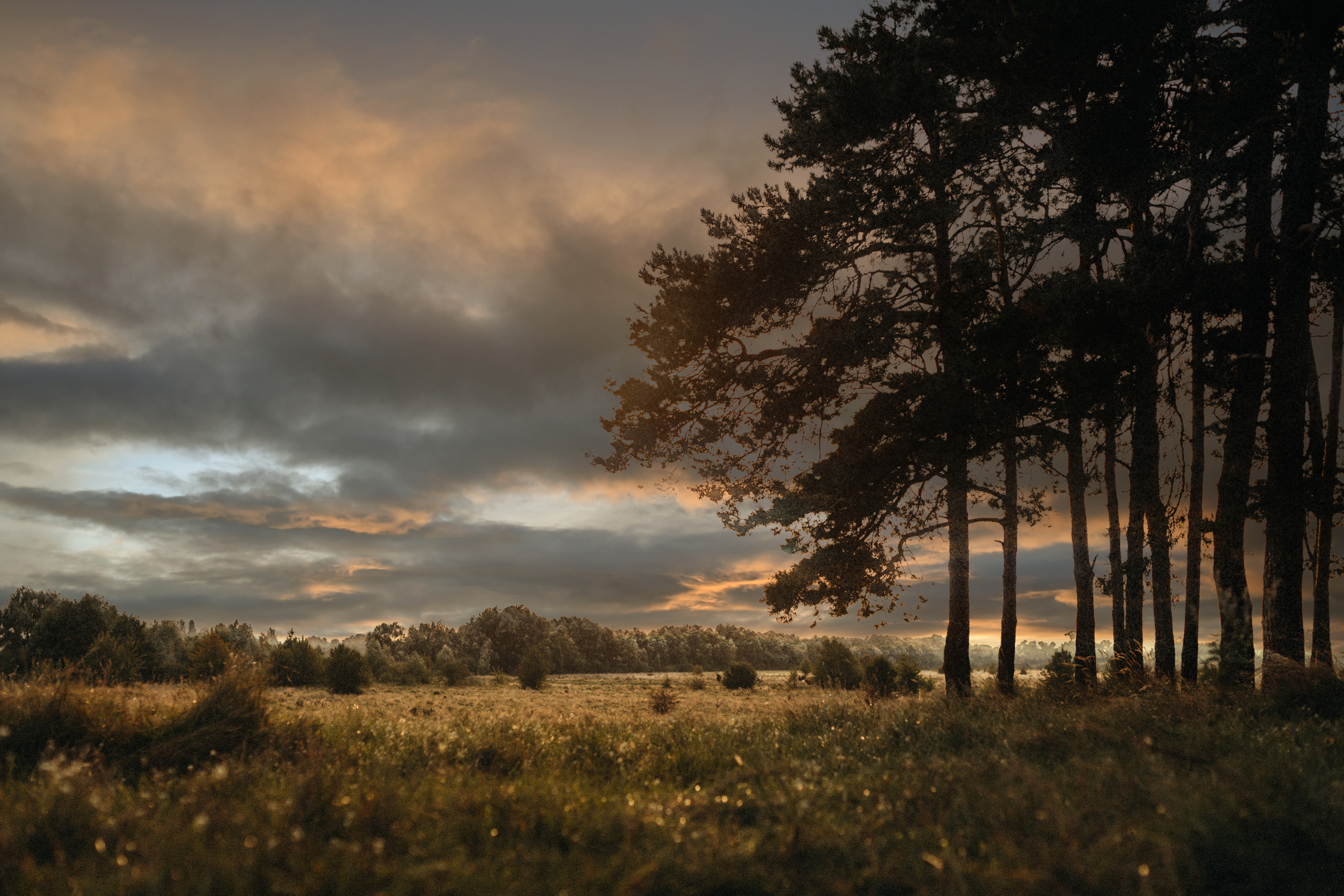 Перший кавун Михайлика. Портретний і сімейний фотограф Київ