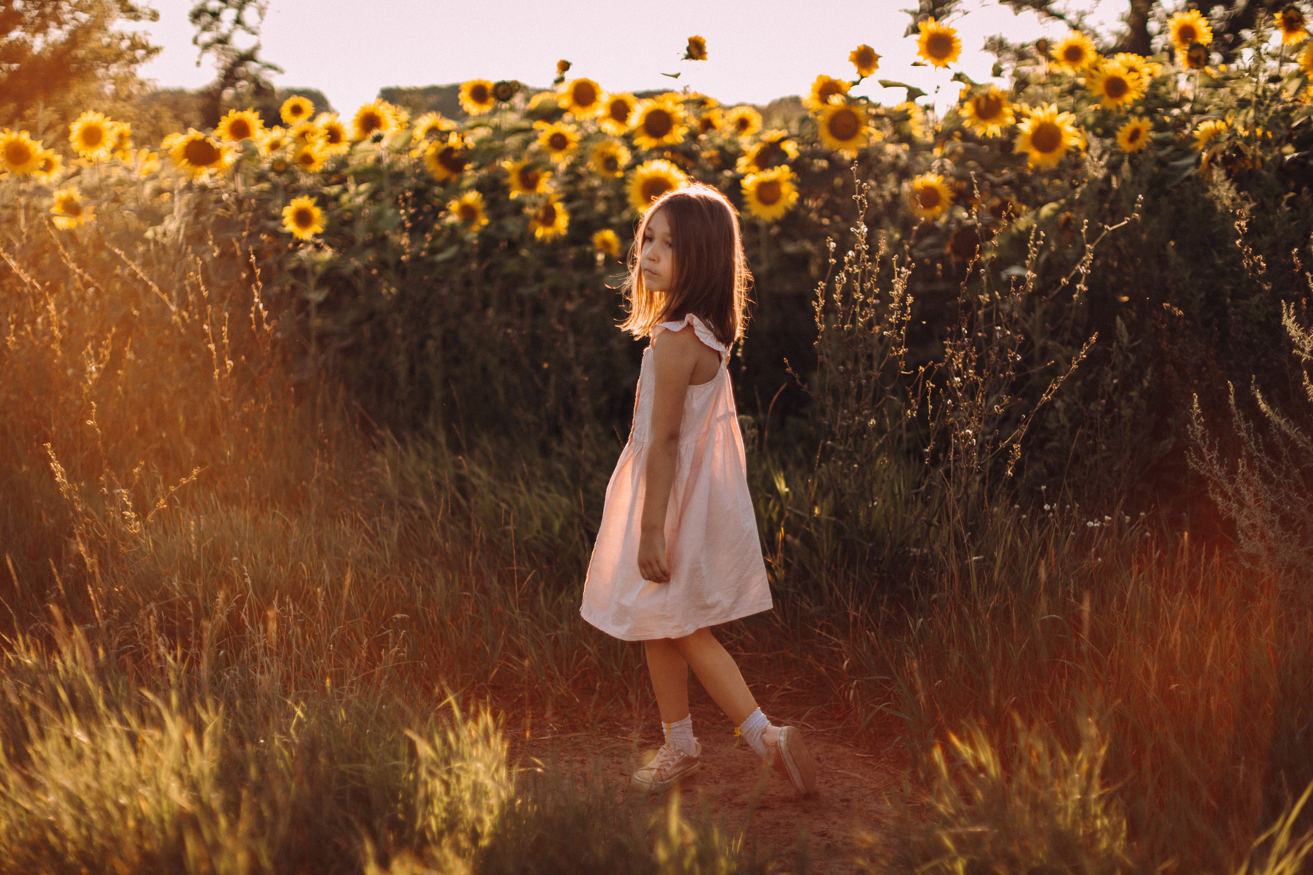 Sunflowers. Портретний і сімейний фотограф Київ