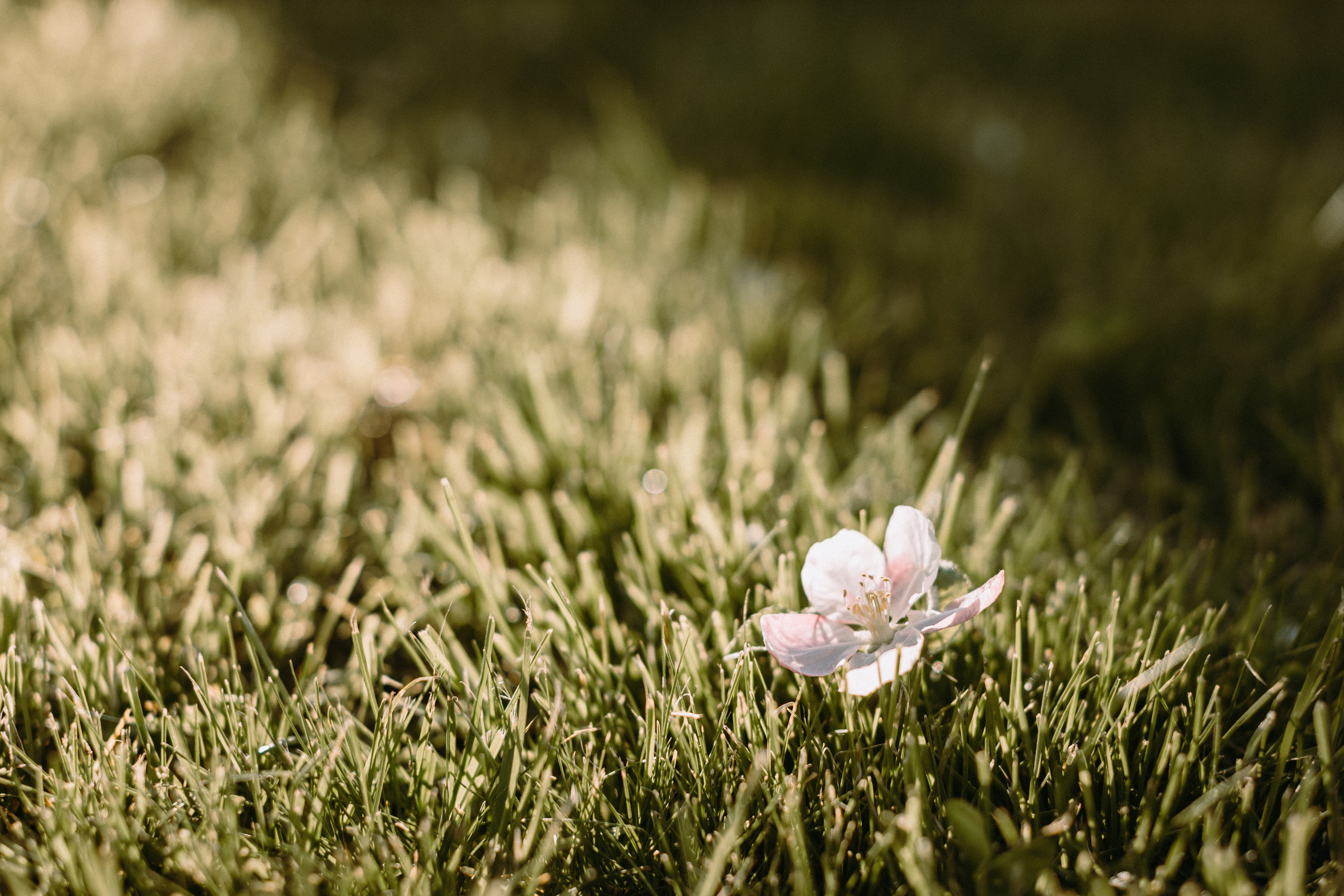 WAR…MAY 2022. Портретний і сімейний фотограф Київ