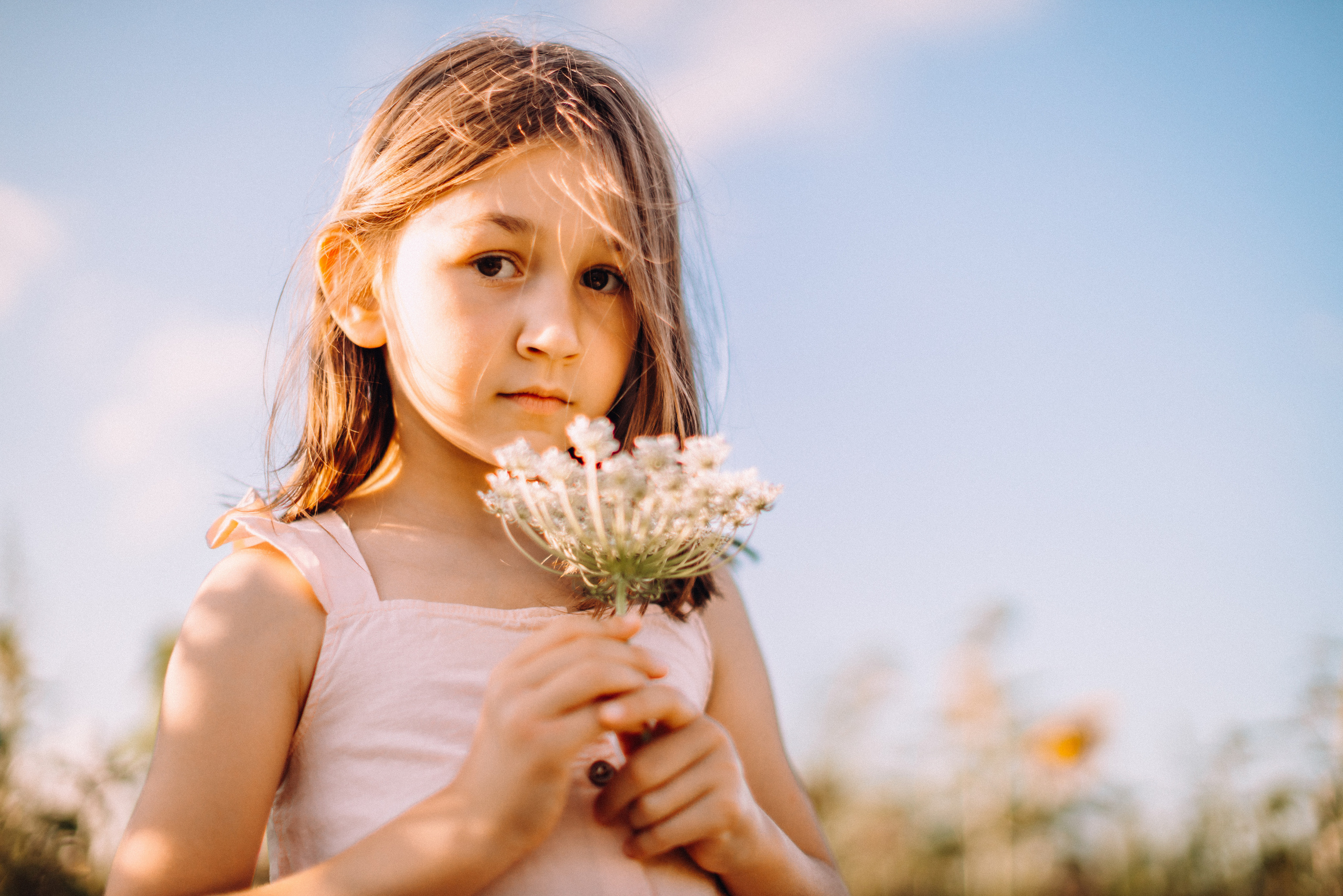 Sunflowers. Портретний і сімейний фотограф Київ