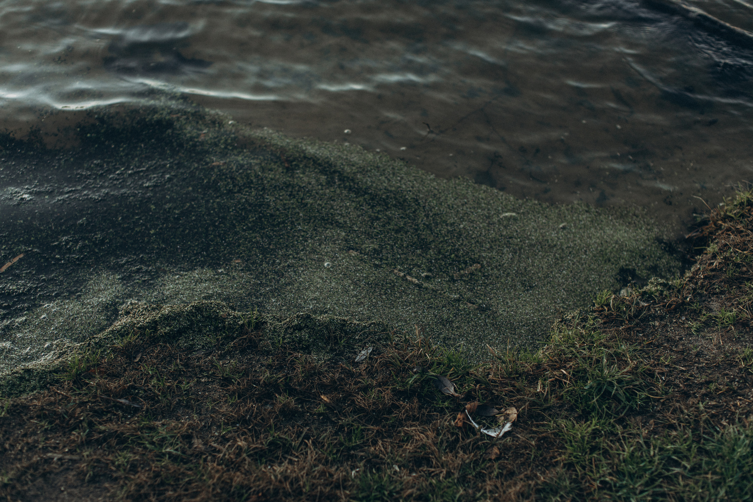 Надя. Портретний і сімейний фотограф Київ