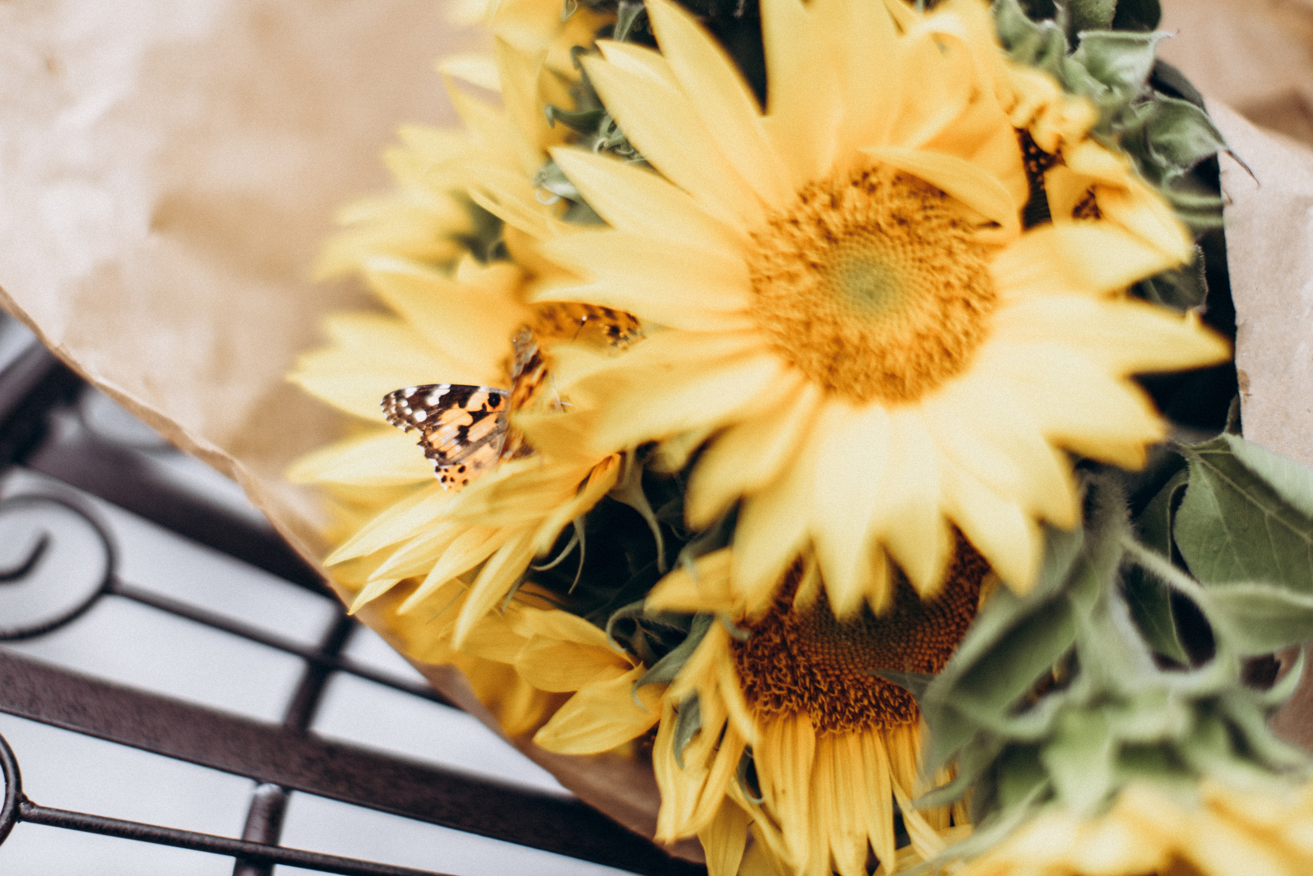 Юля. Портретний і сімейний фотограф Київ