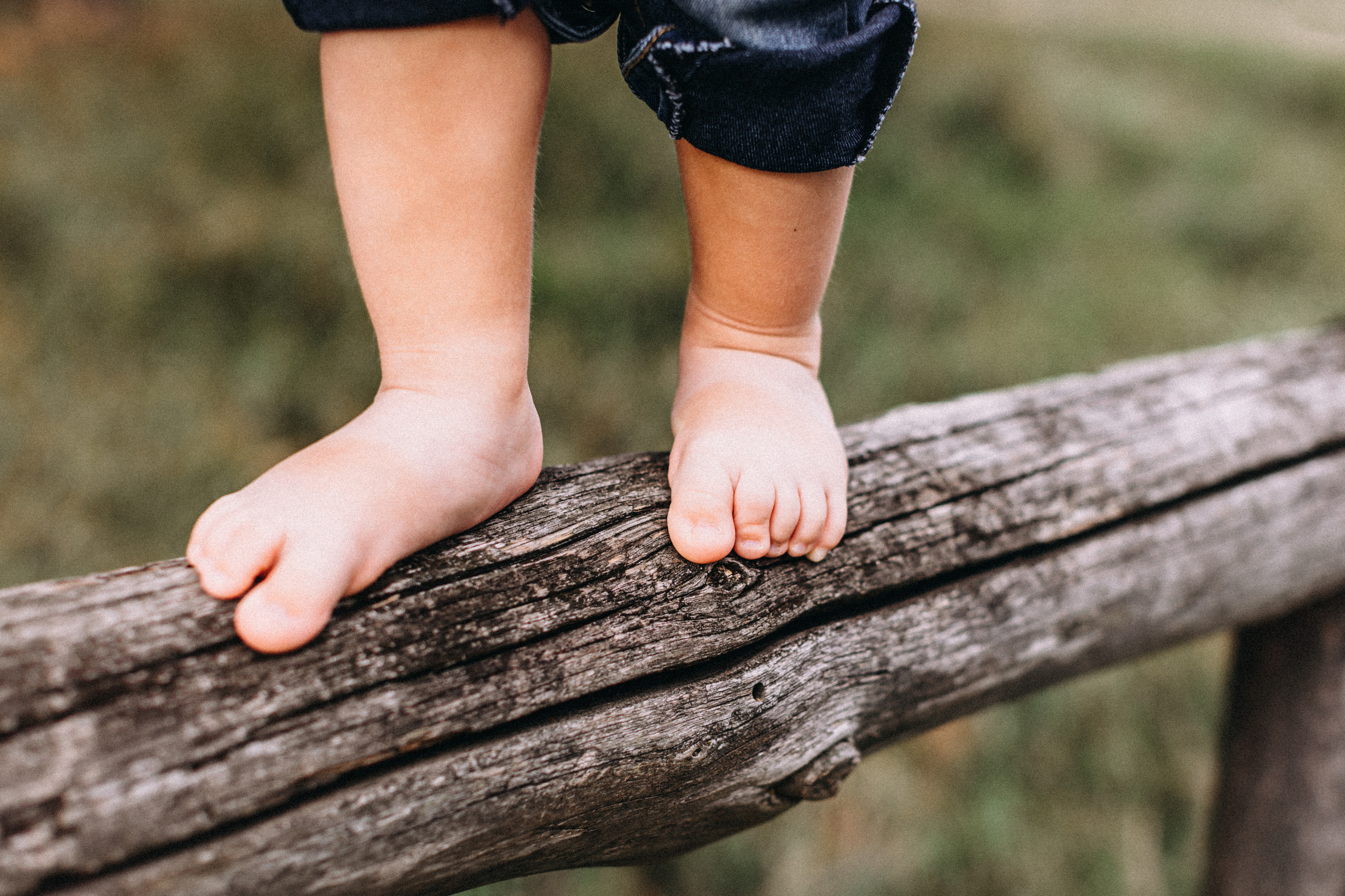 Перший кавун Михайлика. Портретний і сімейний фотограф Київ