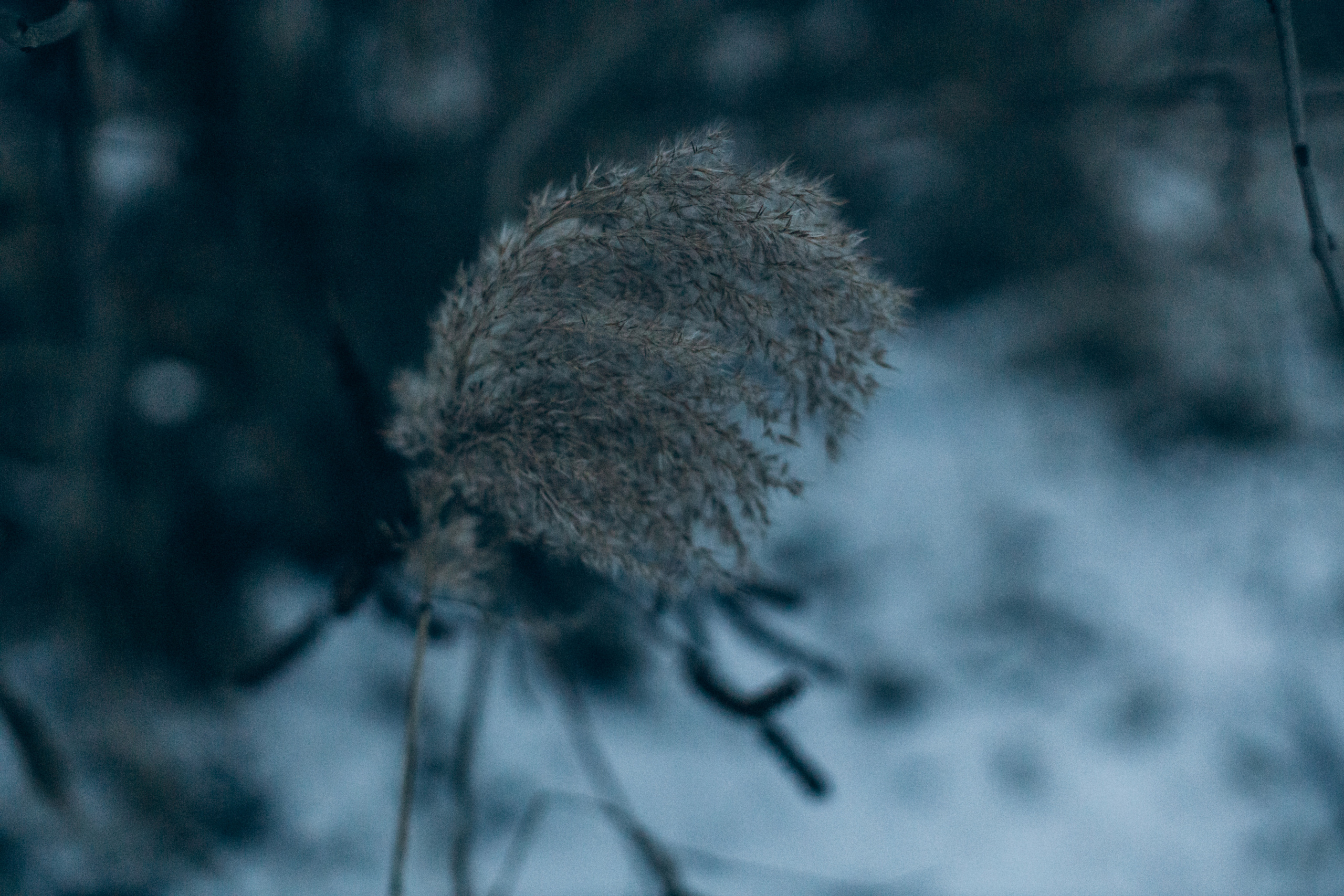 Настя&Вова. Портретний і сімейний фотограф Київ