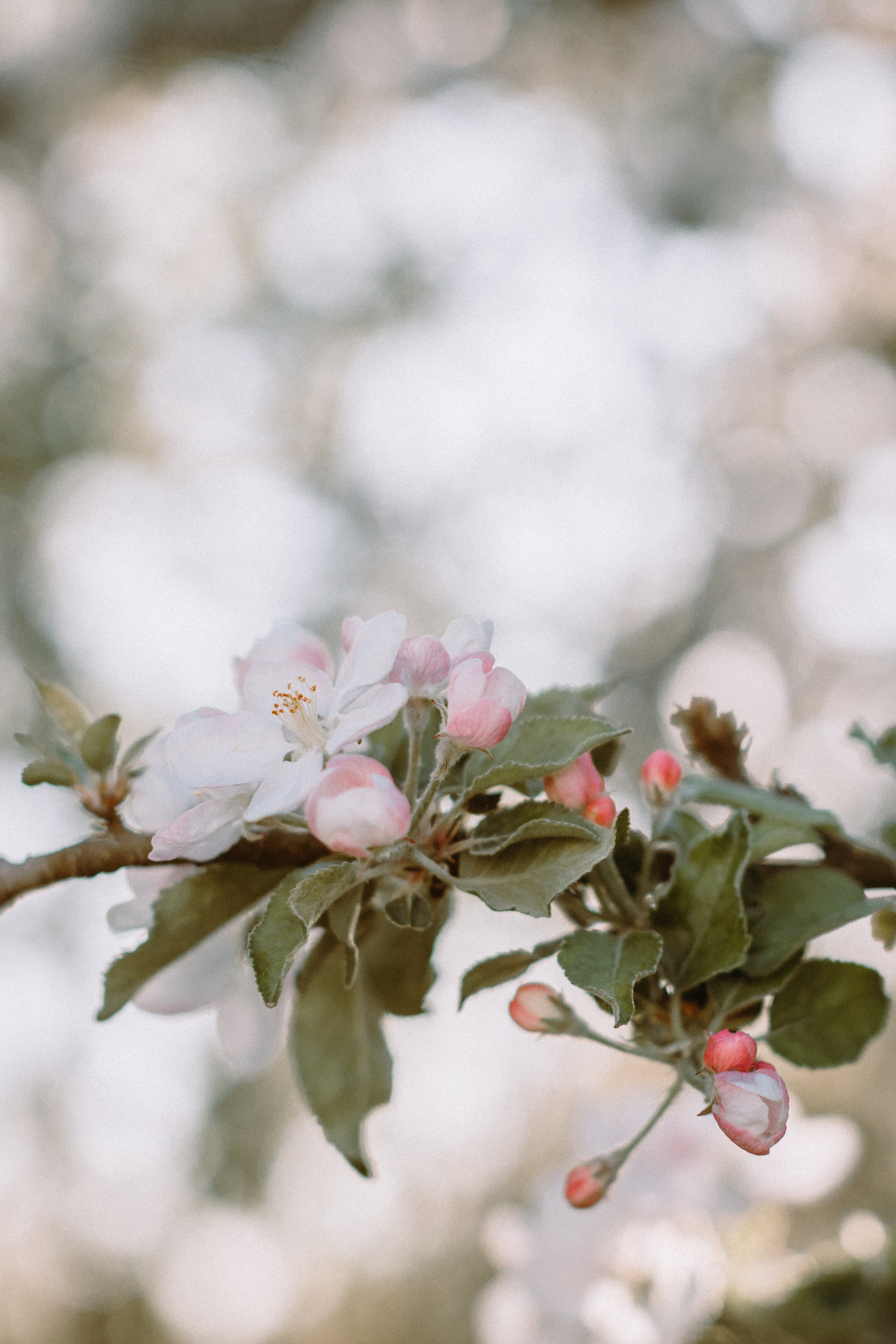 WAR…MAY 2022. Портретний і сімейний фотограф Київ