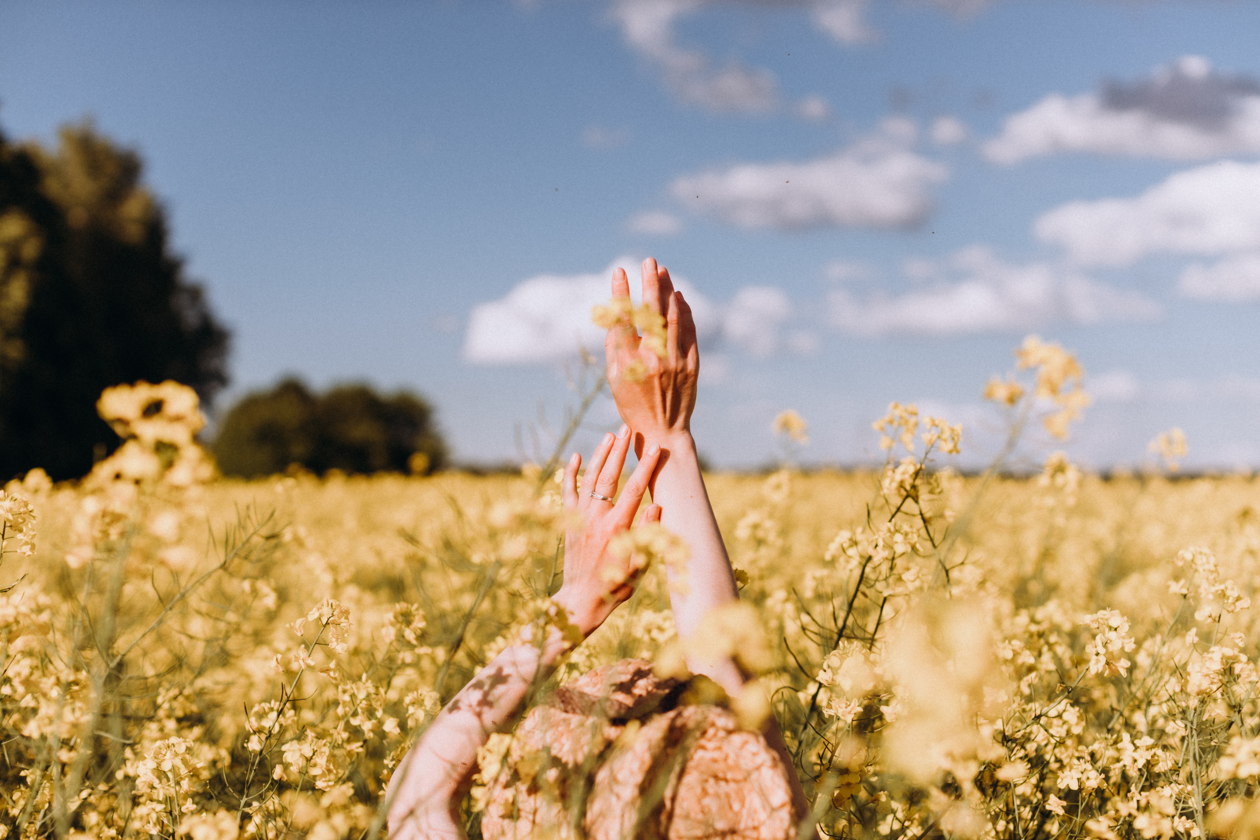 Рапсове поле. Портретний і сімейний фотограф Київ