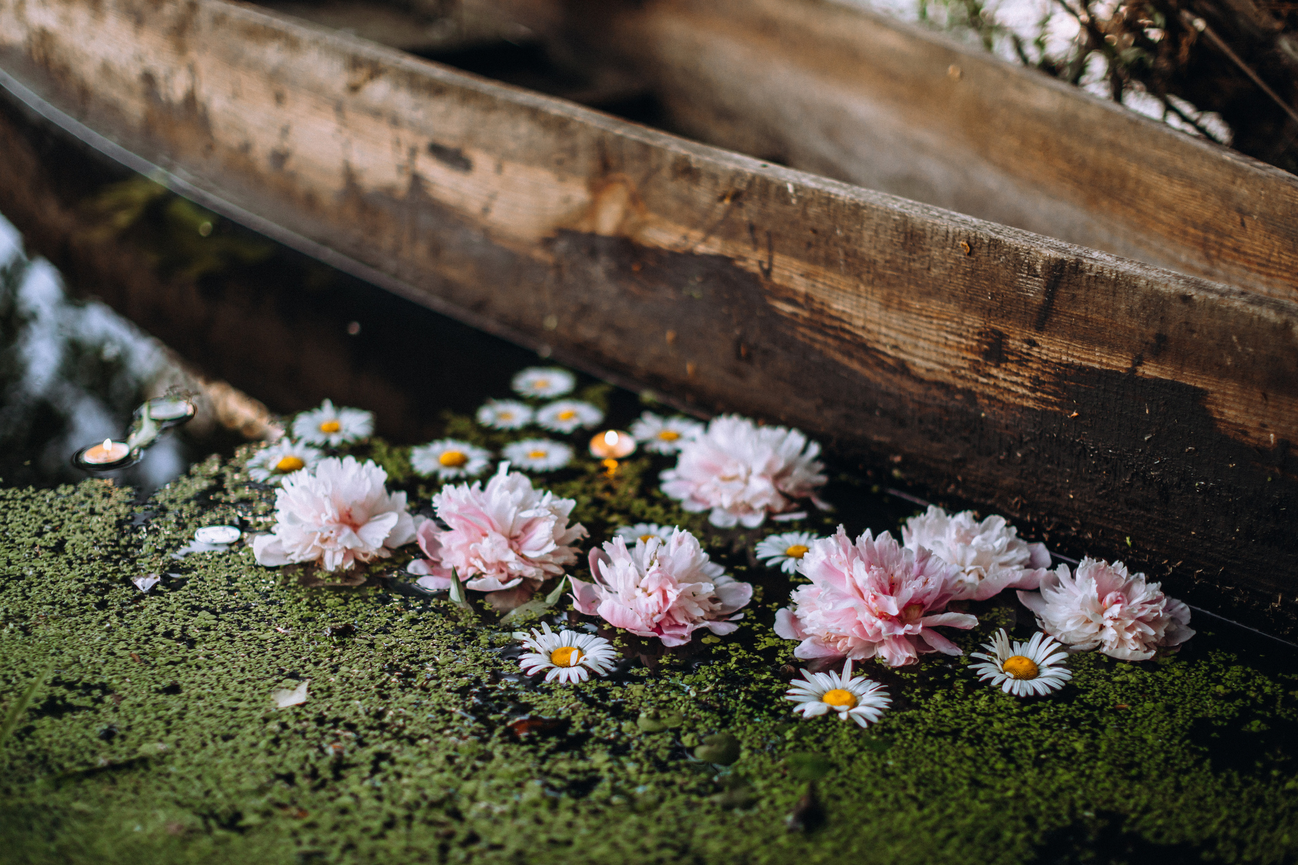 Peoni season. Портретний і сімейний фотограф Київ