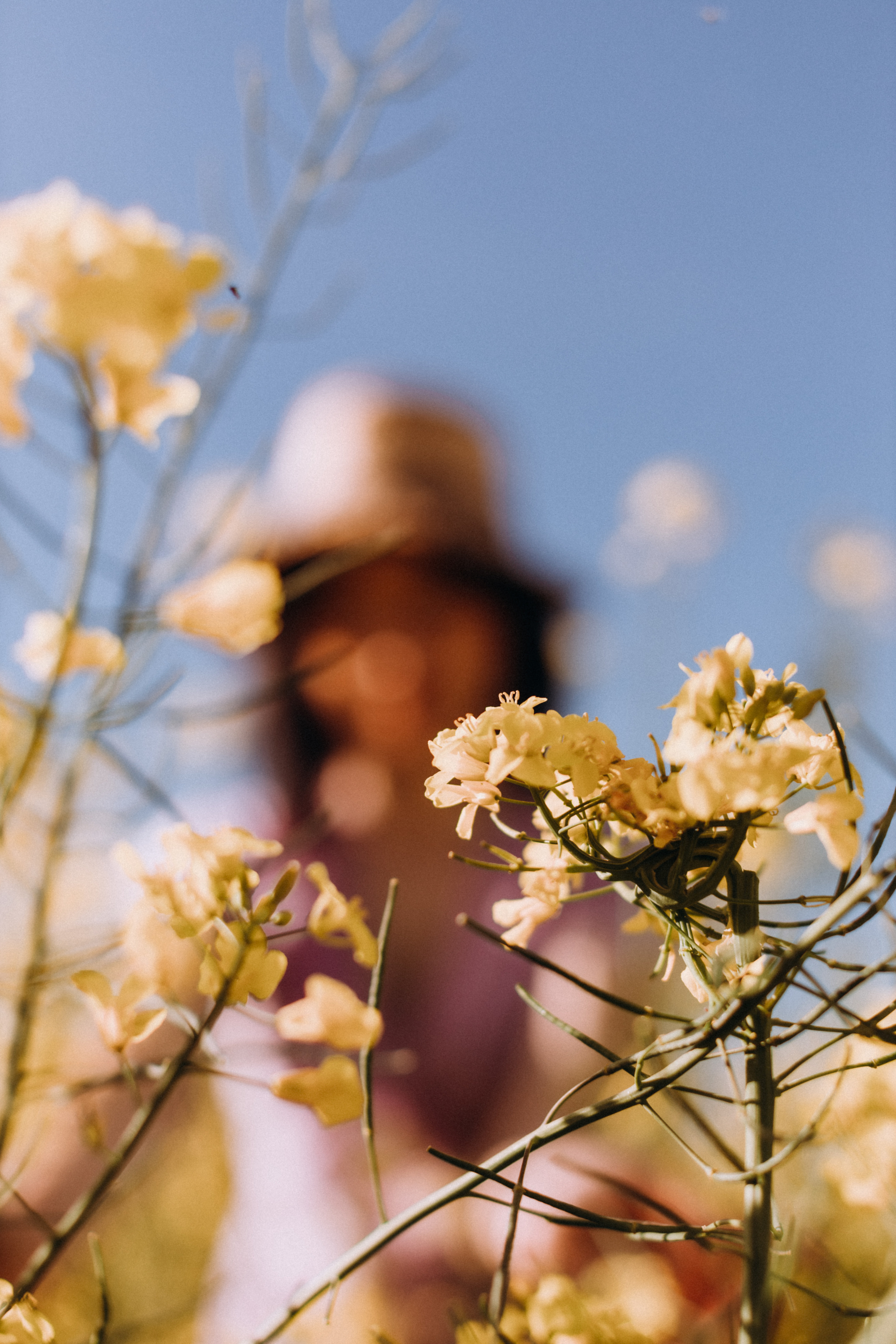 Рапсове поле. Портретний і сімейний фотограф Київ