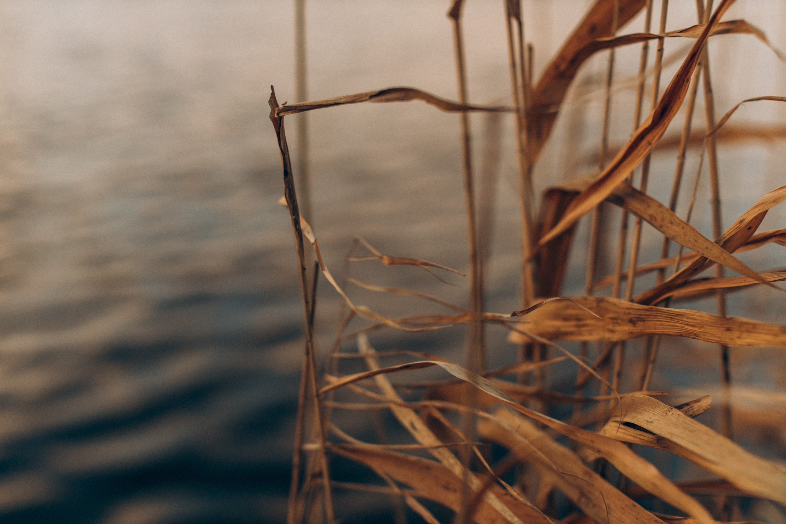 Надя. Портретний і сімейний фотограф Київ