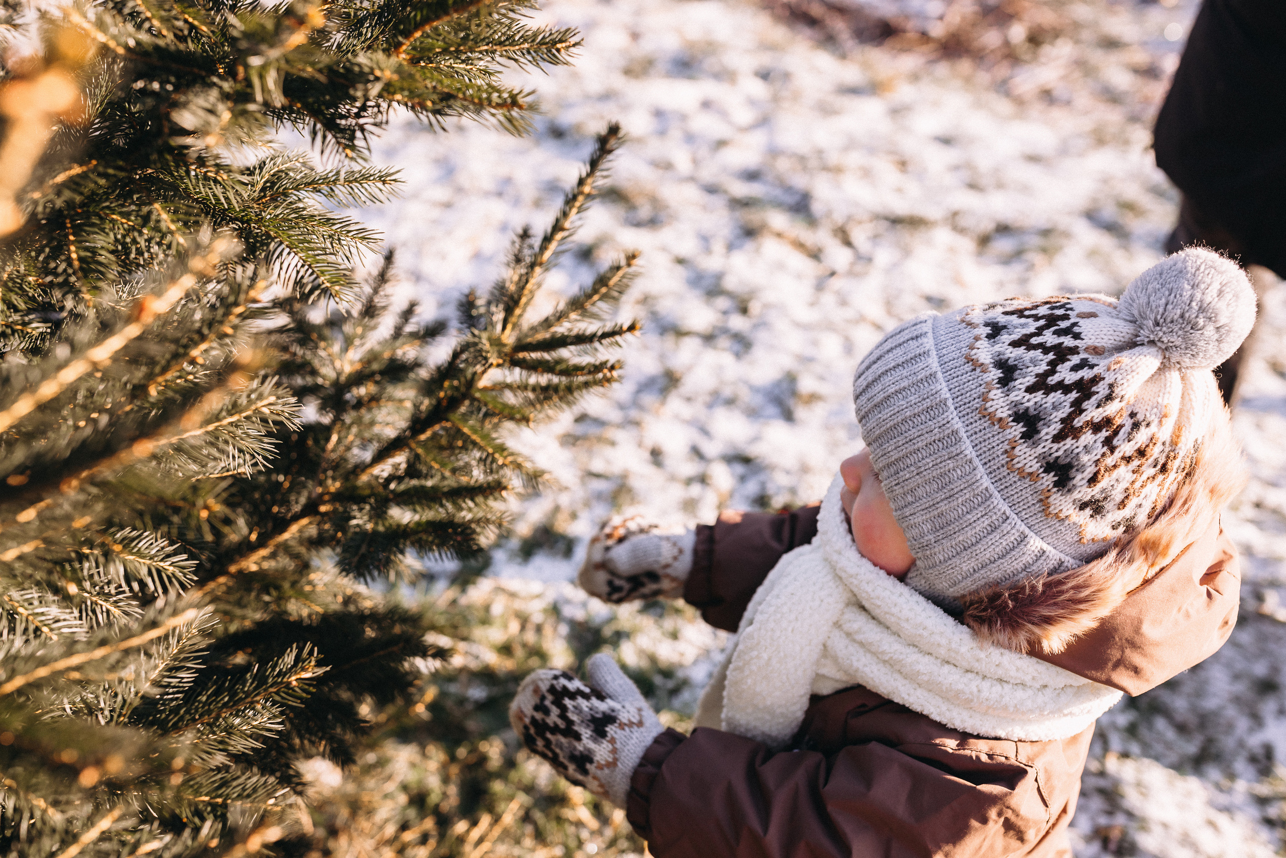 Зимова казка. Портретний і сімейний фотограф Київ