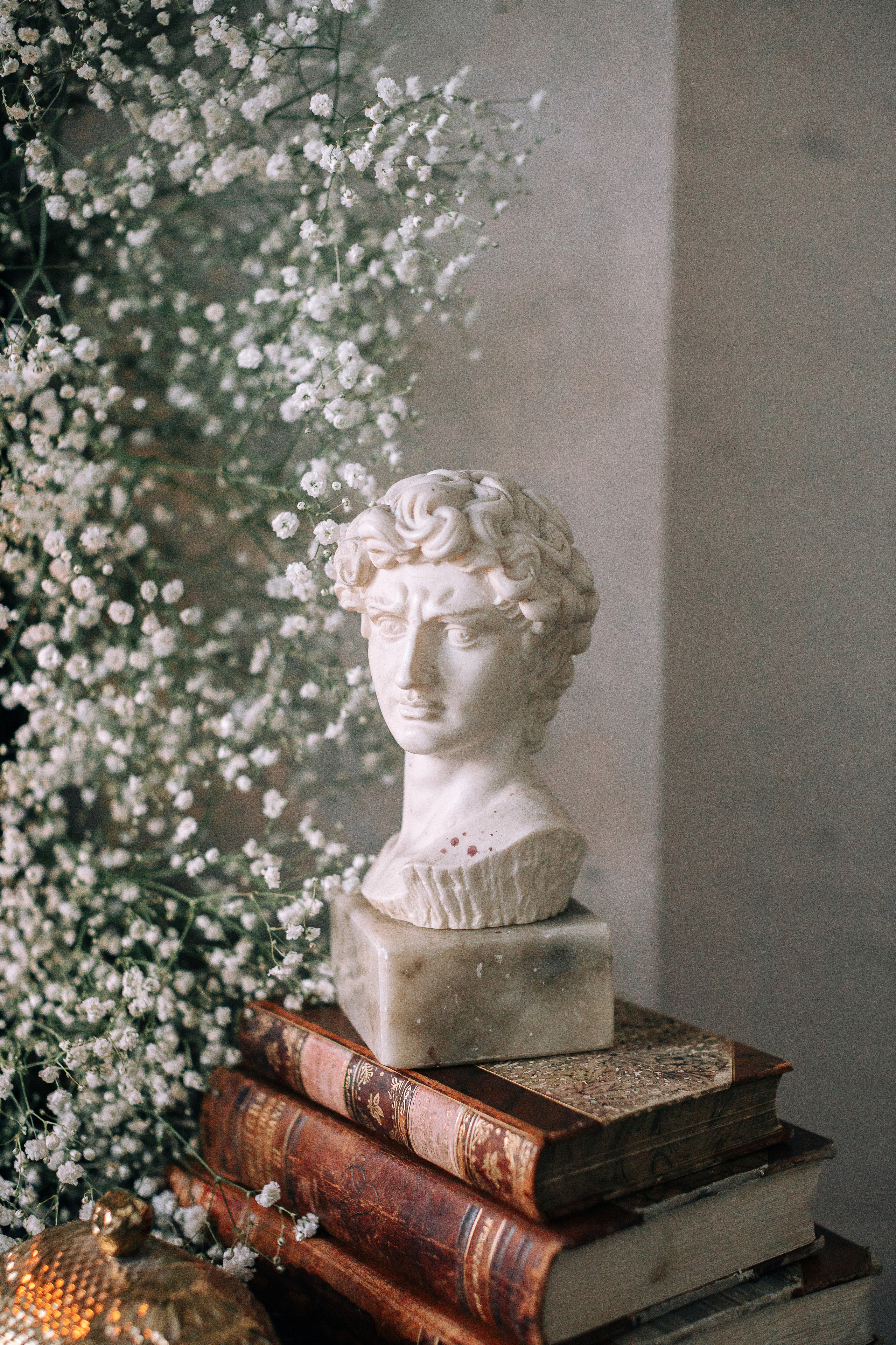 Лаура. Портретний і сімейний фотограф Київ