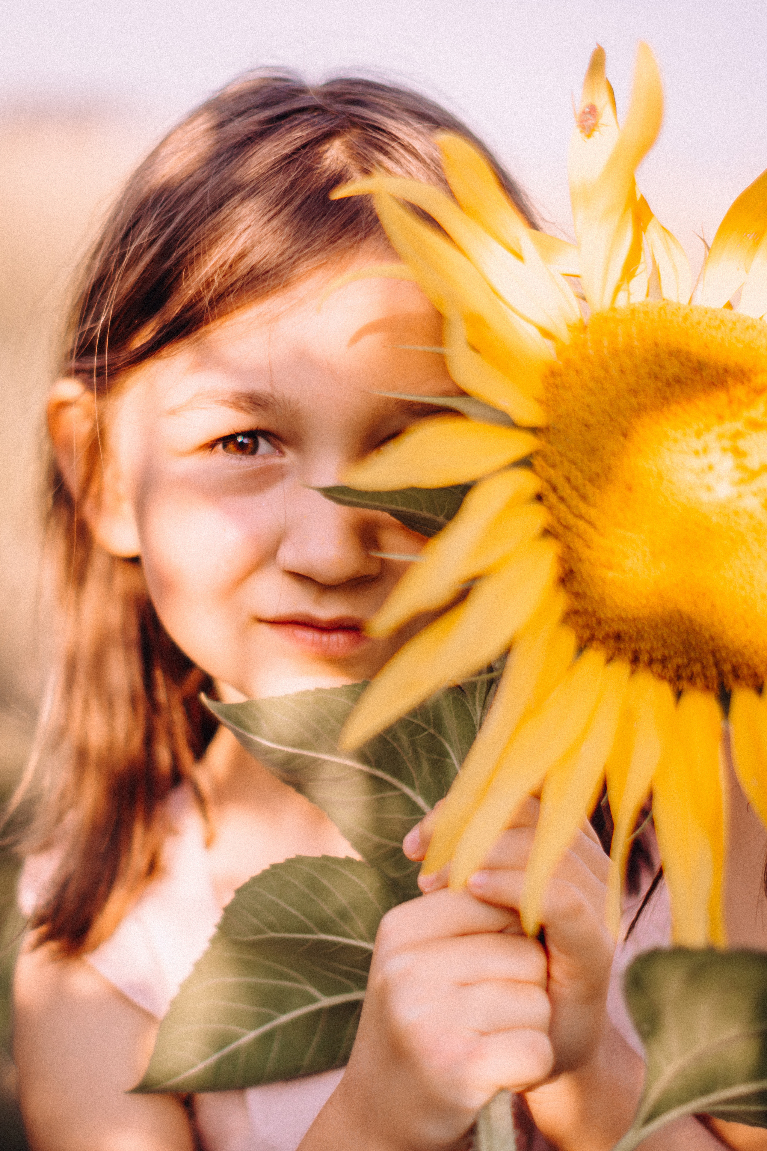 Sunflowers. Портретний і сімейний фотограф Київ