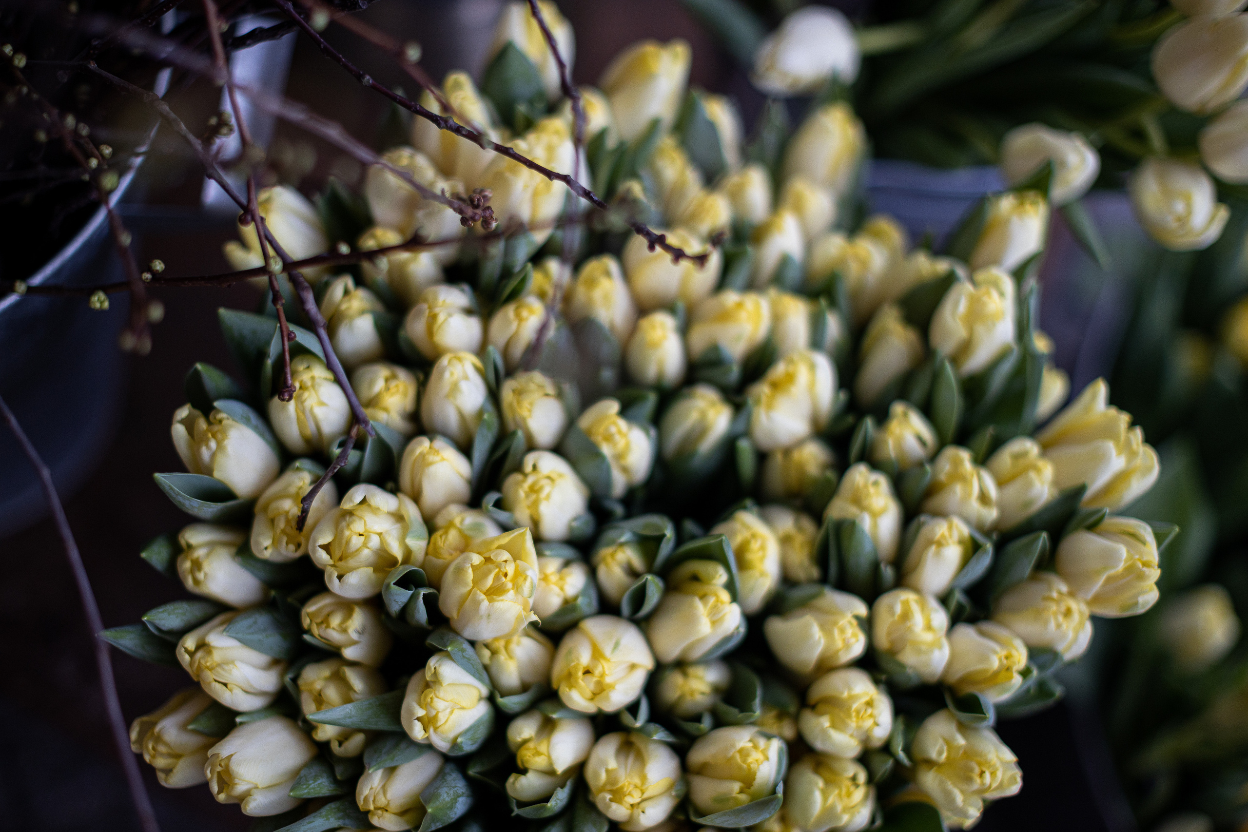 Кловський сад. Портретний і сімейний фотограф Київ