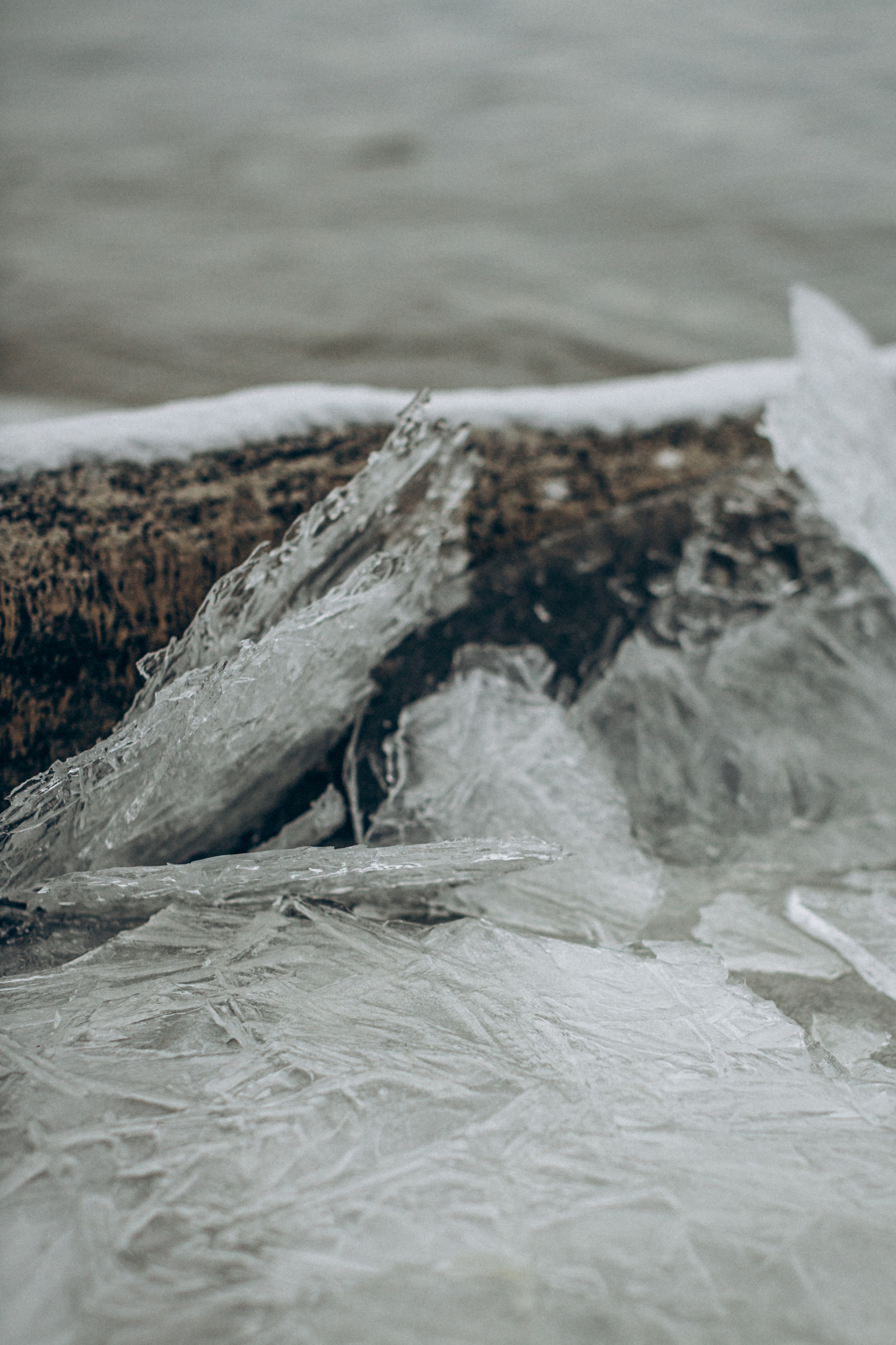 Настя&Вова. Портретний і сімейний фотограф Київ