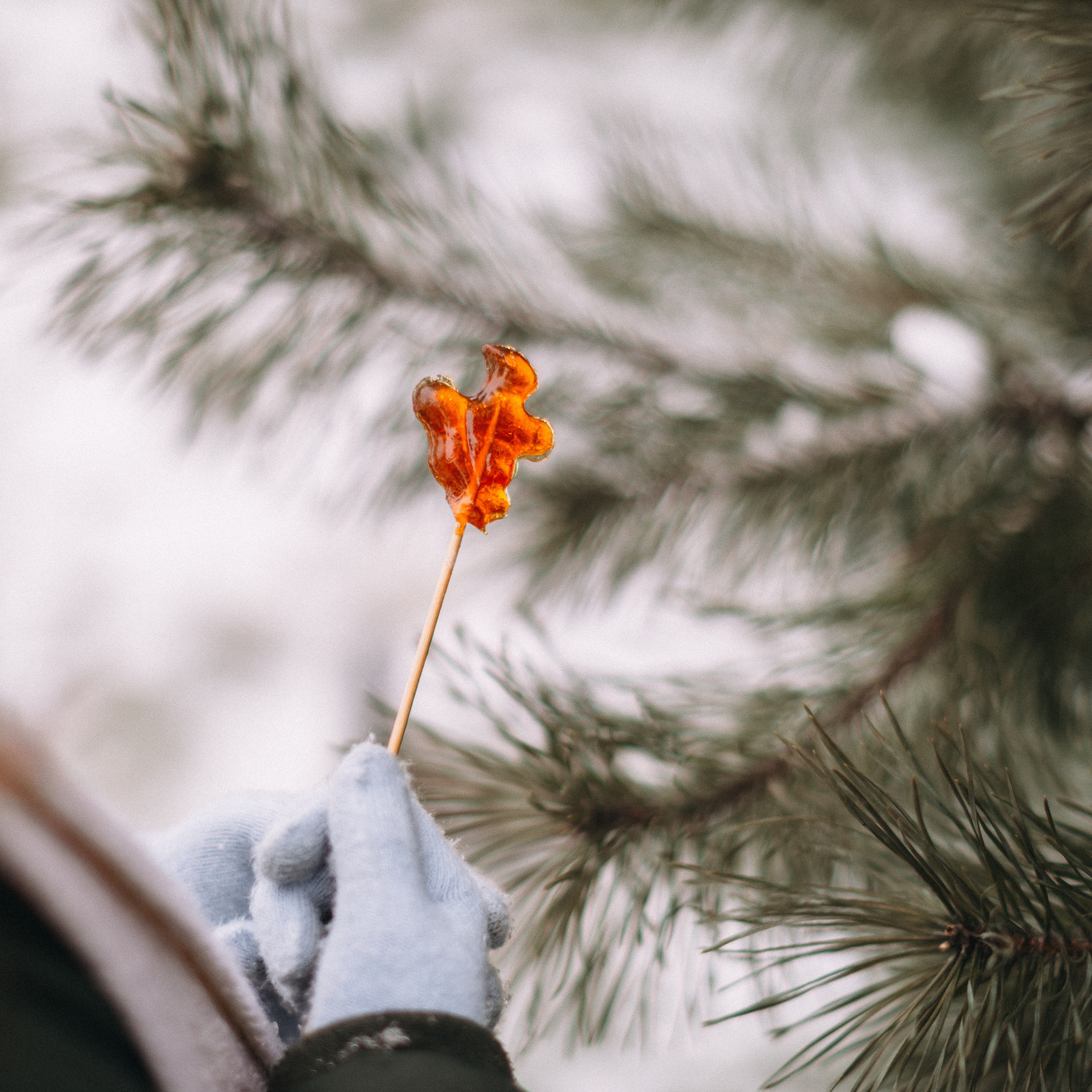 Софійка на канікулах. Портретний і сімейний фотограф Київ