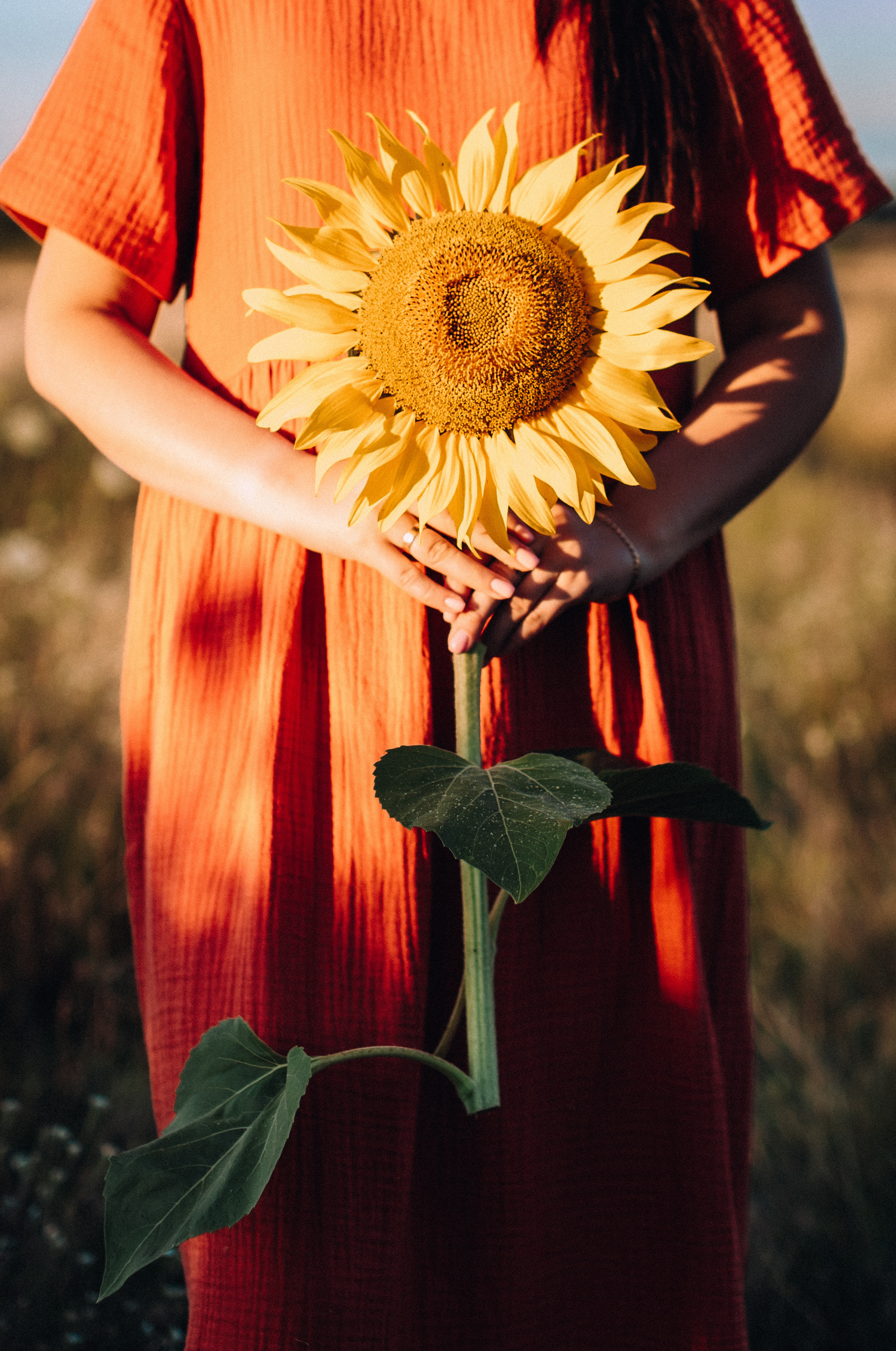 Sunflowers mummy&me. Портретний і сімейний фотограф Київ