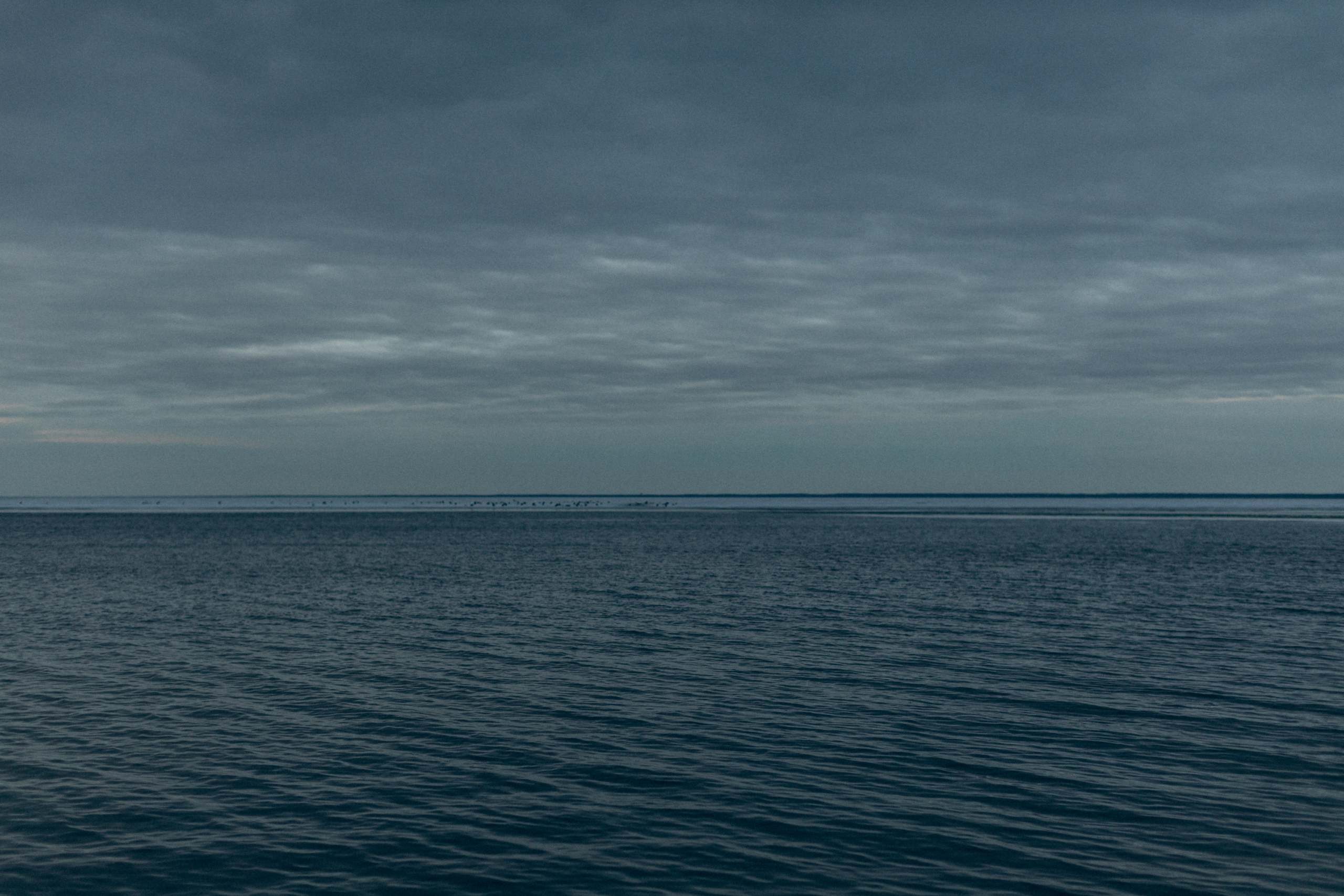 Настя&Вова. Портретний і сімейний фотограф Київ