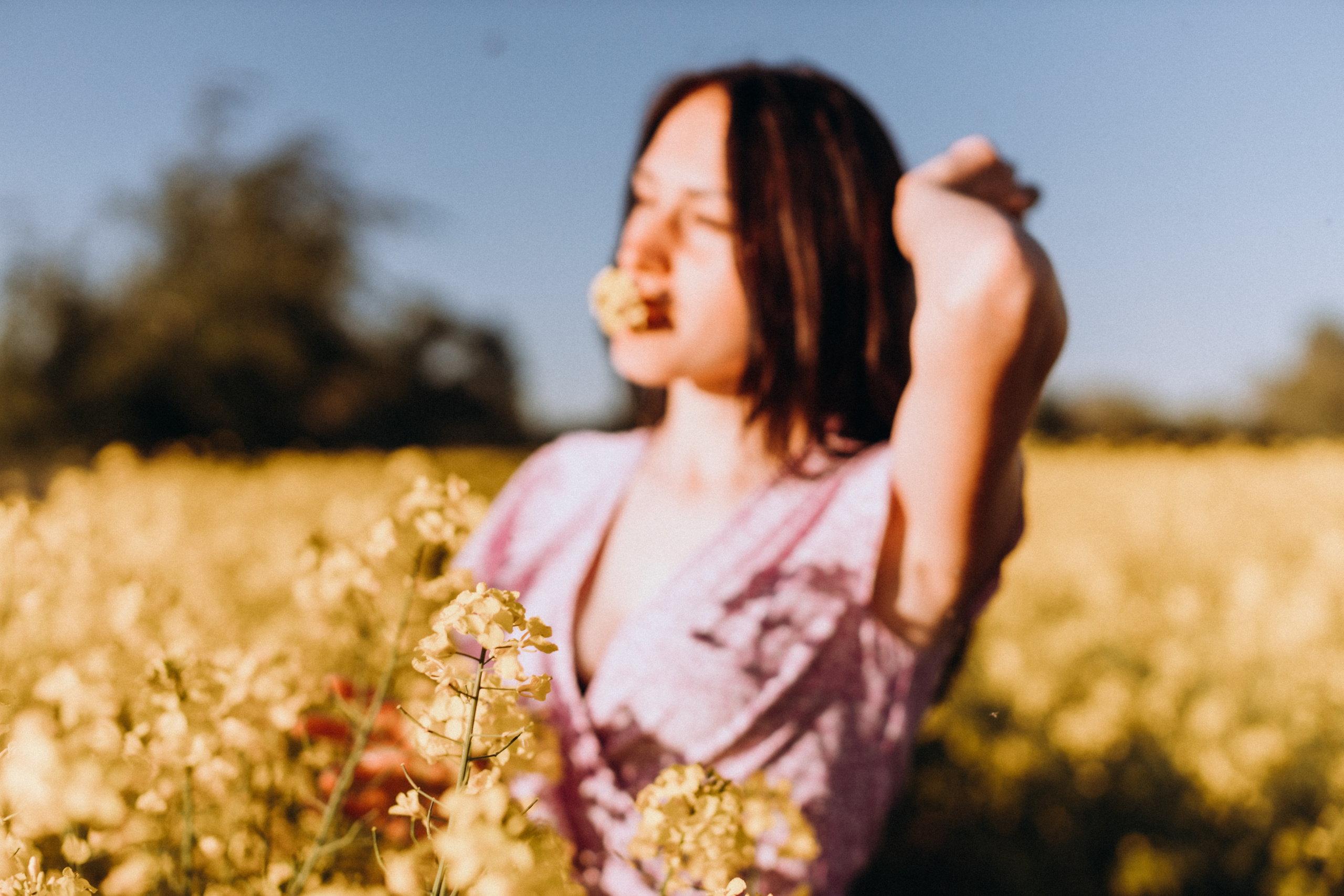 Рапсове поле. Портретний і сімейний фотограф Київ