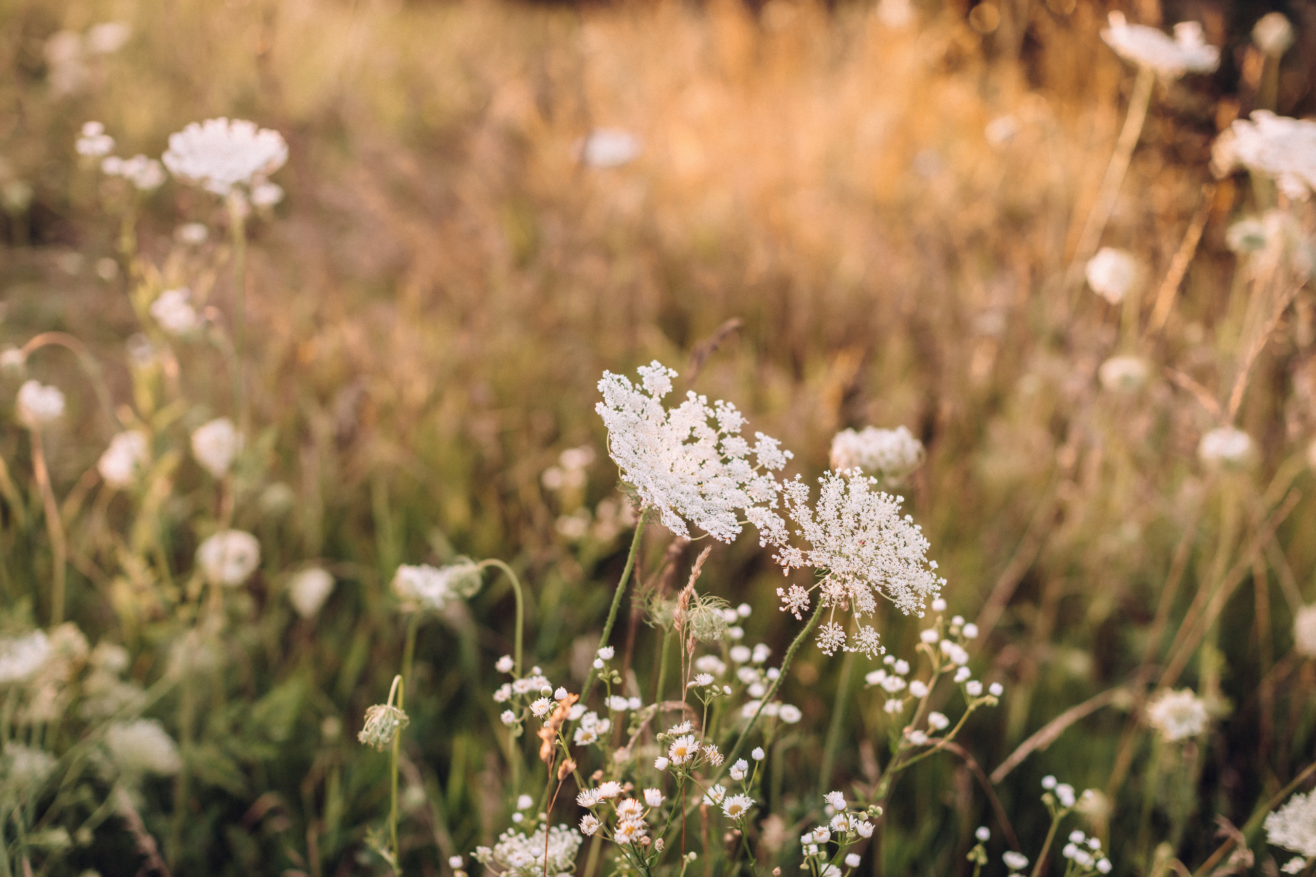Anya&Sofiya. Портретний і сімейний фотограф Київ