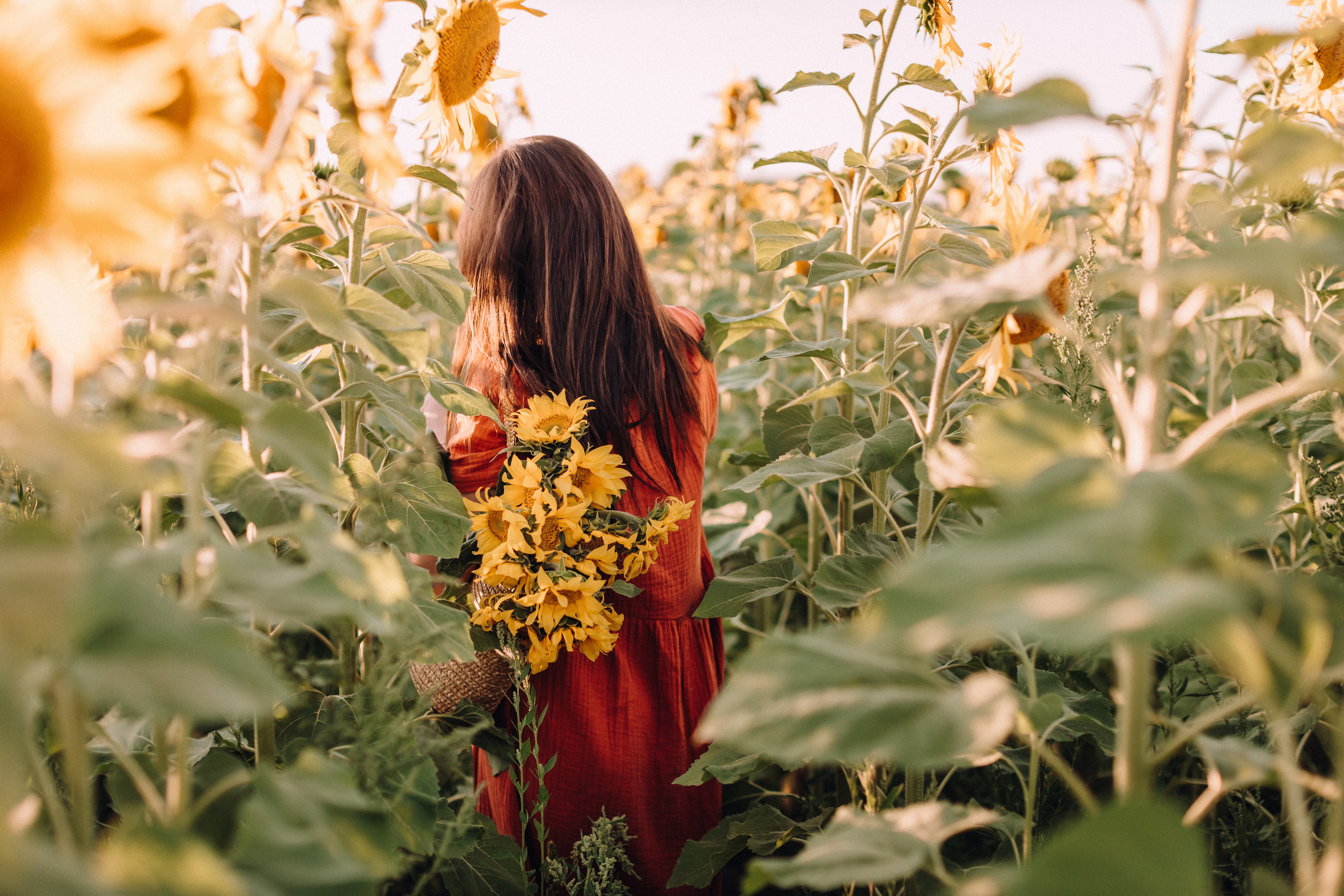 Sunflowers mummy&me. Портретний і сімейний фотограф Київ