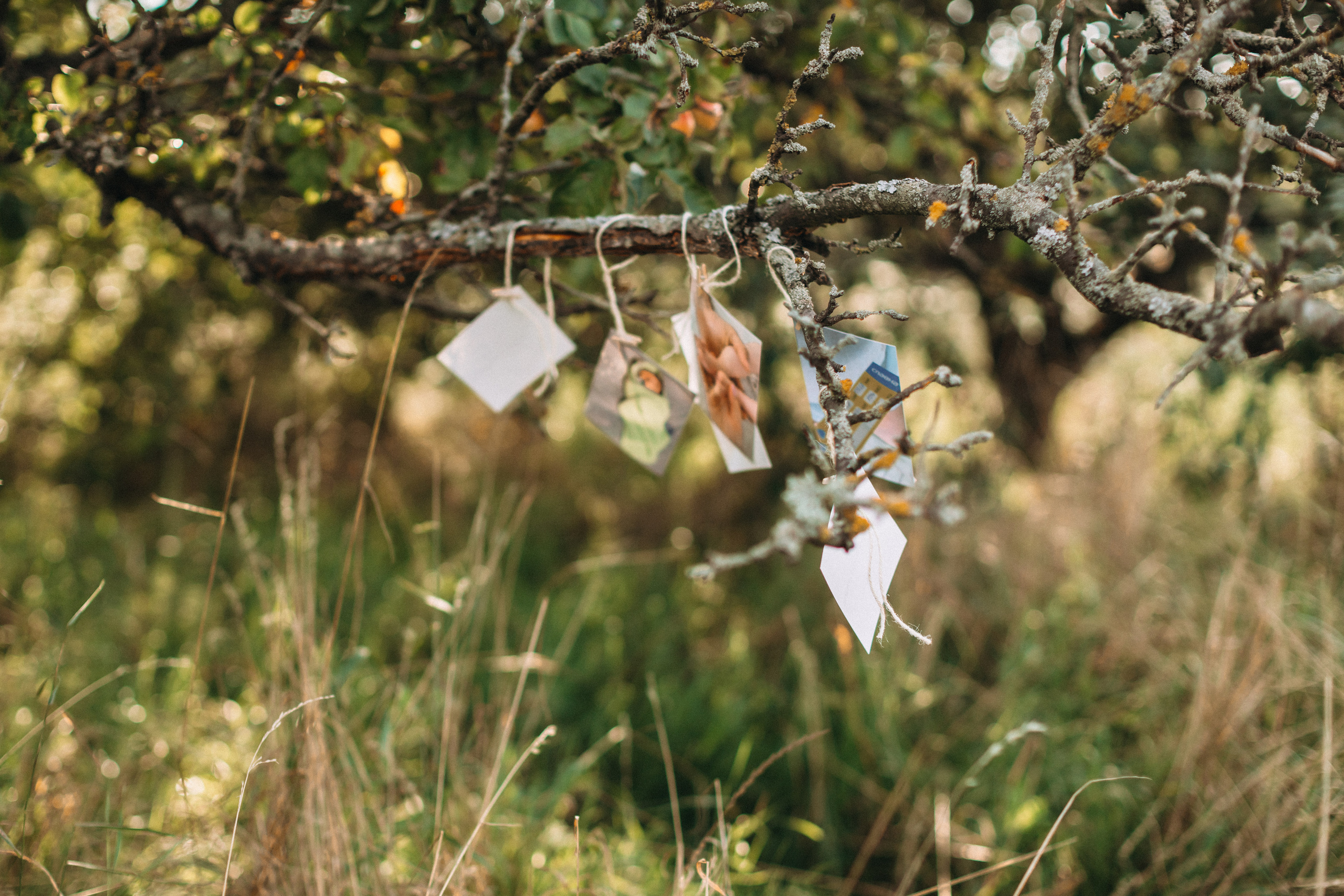 Назарчику 1 рік. Портретний і сімейний фотограф Київ
