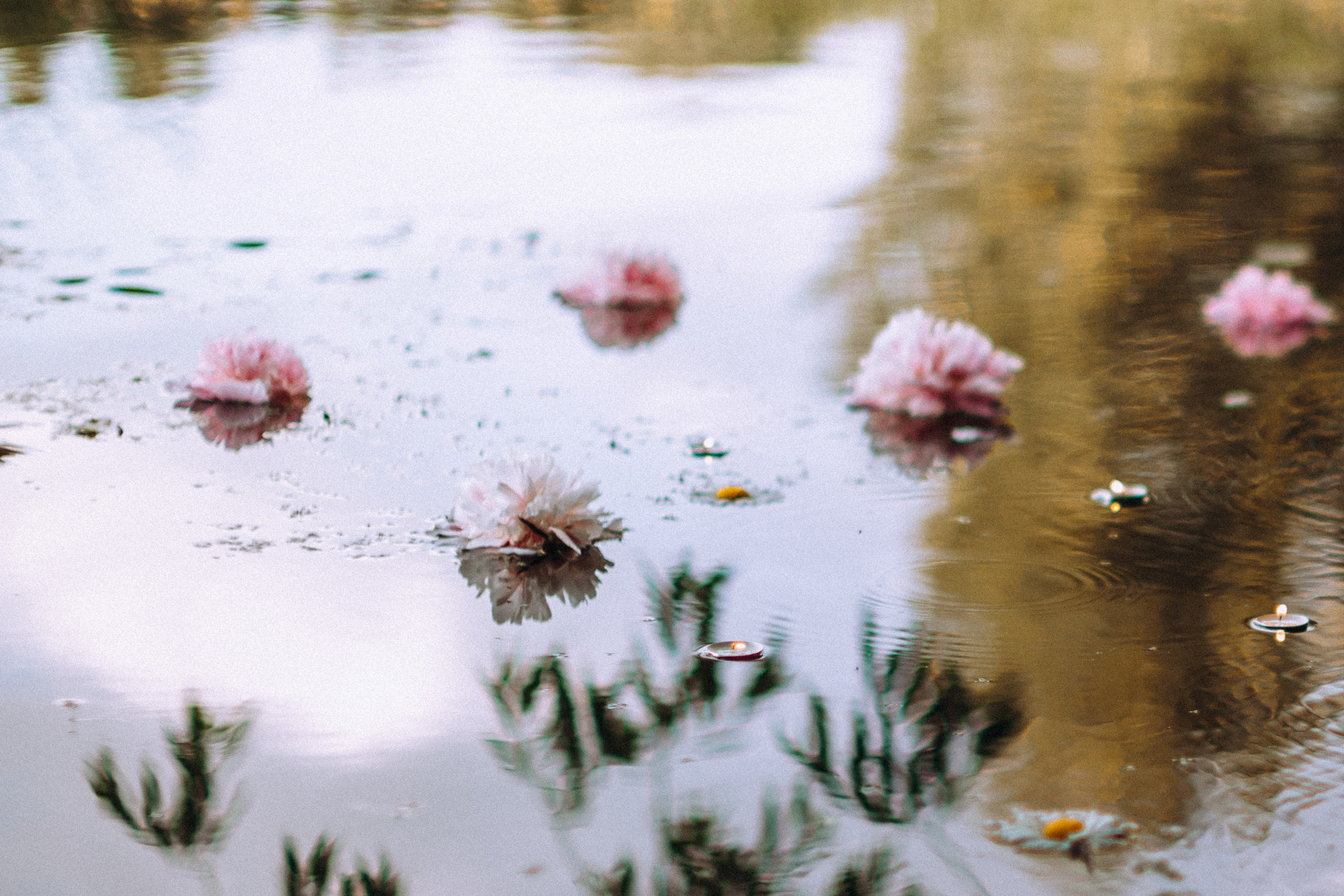 Peoni season. Портретний і сімейний фотограф Київ