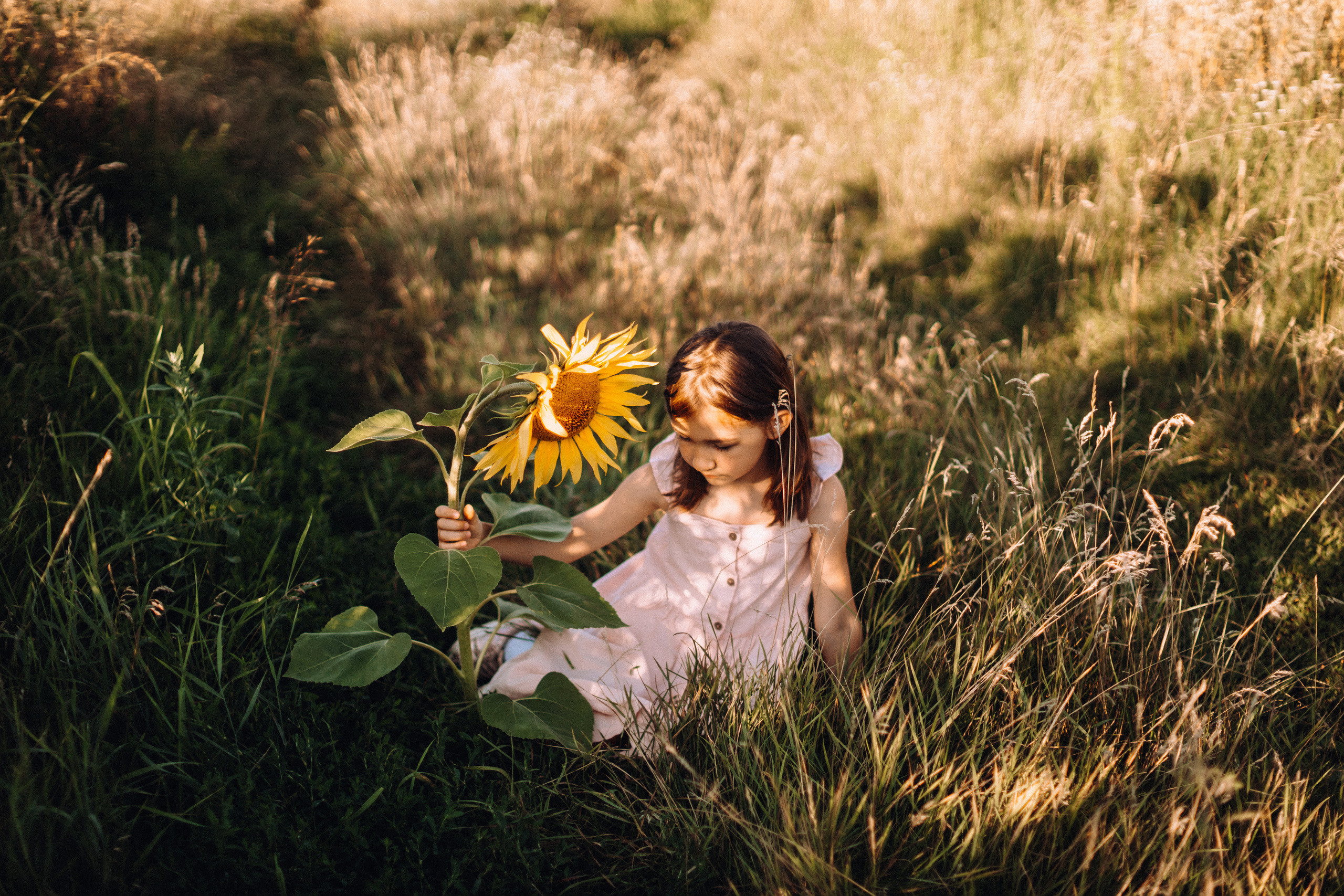 Sunflowers. Портретний і сімейний фотограф Київ