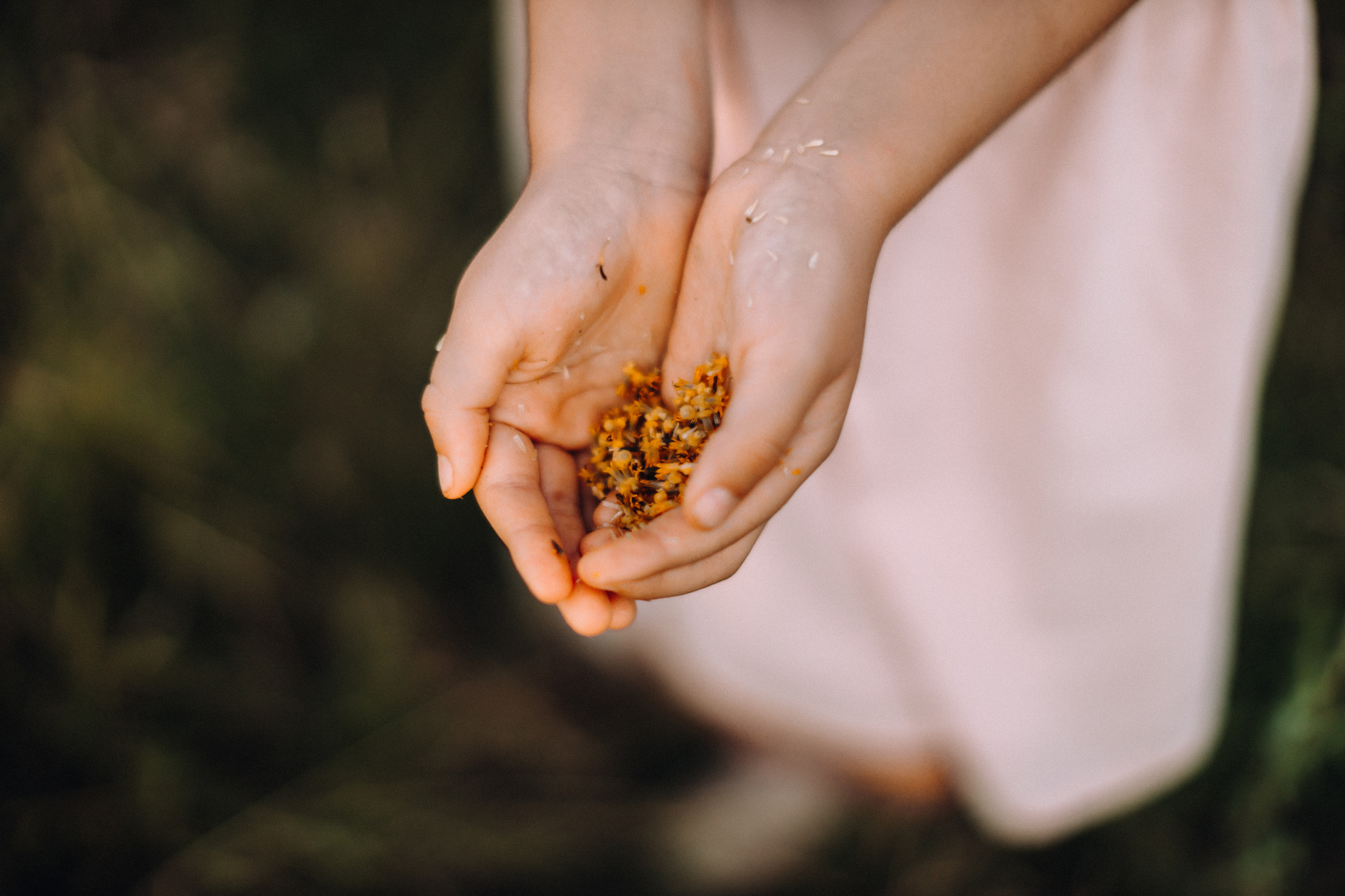 Sunflowers. Портретний і сімейний фотограф Київ