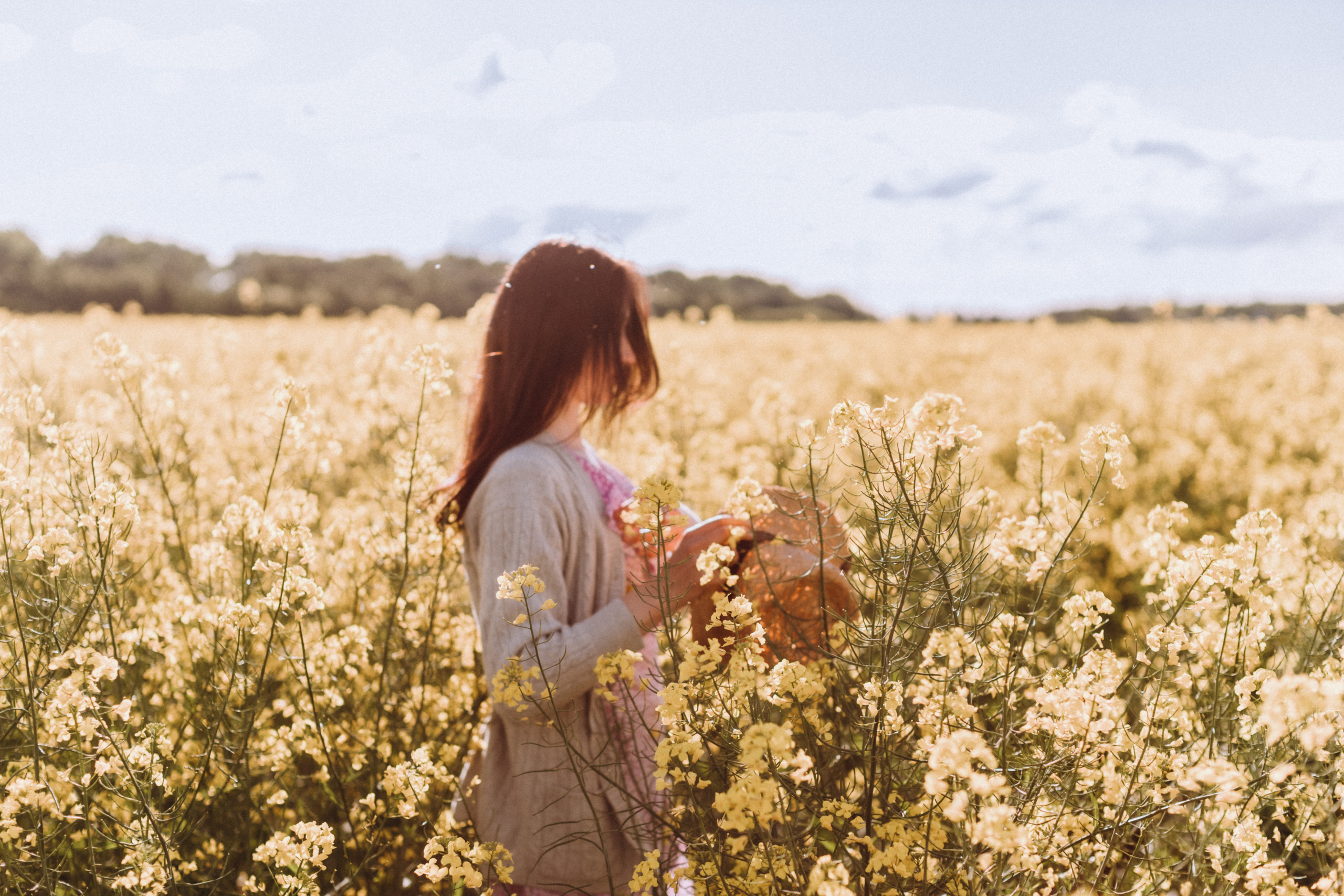 Рапсове поле. Портретний і сімейний фотограф Київ