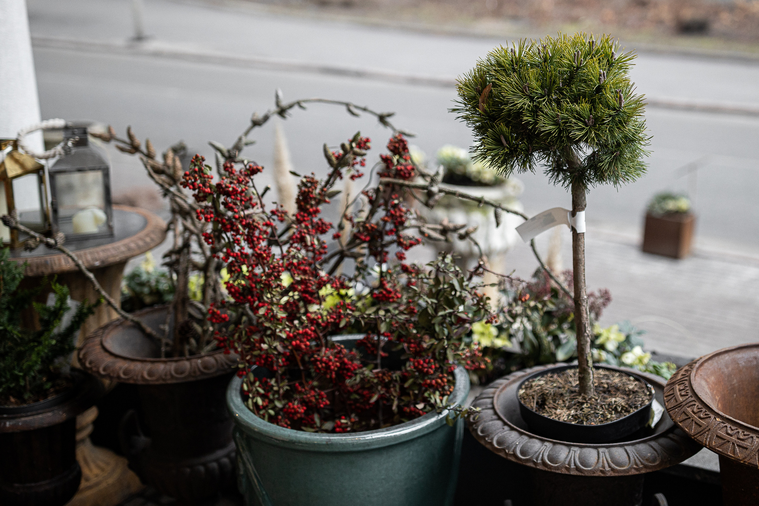 Кловський сад. Портретний і сімейний фотограф Київ