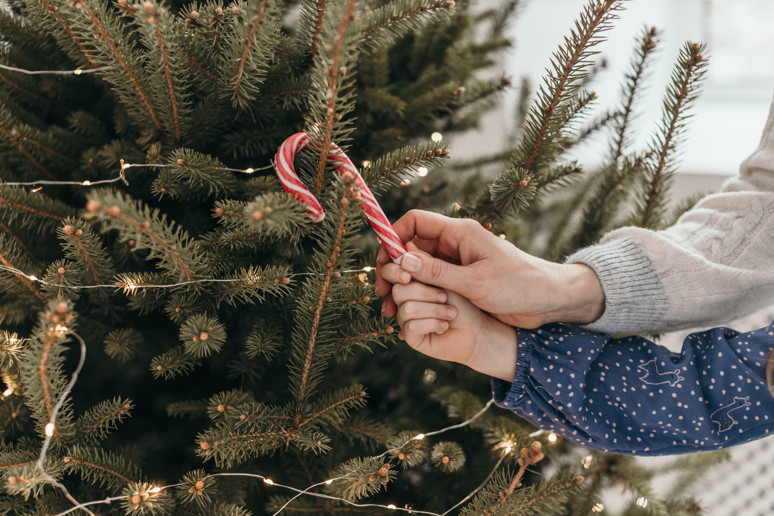 Оля&Аня. Портретний і сімейний фотограф Київ