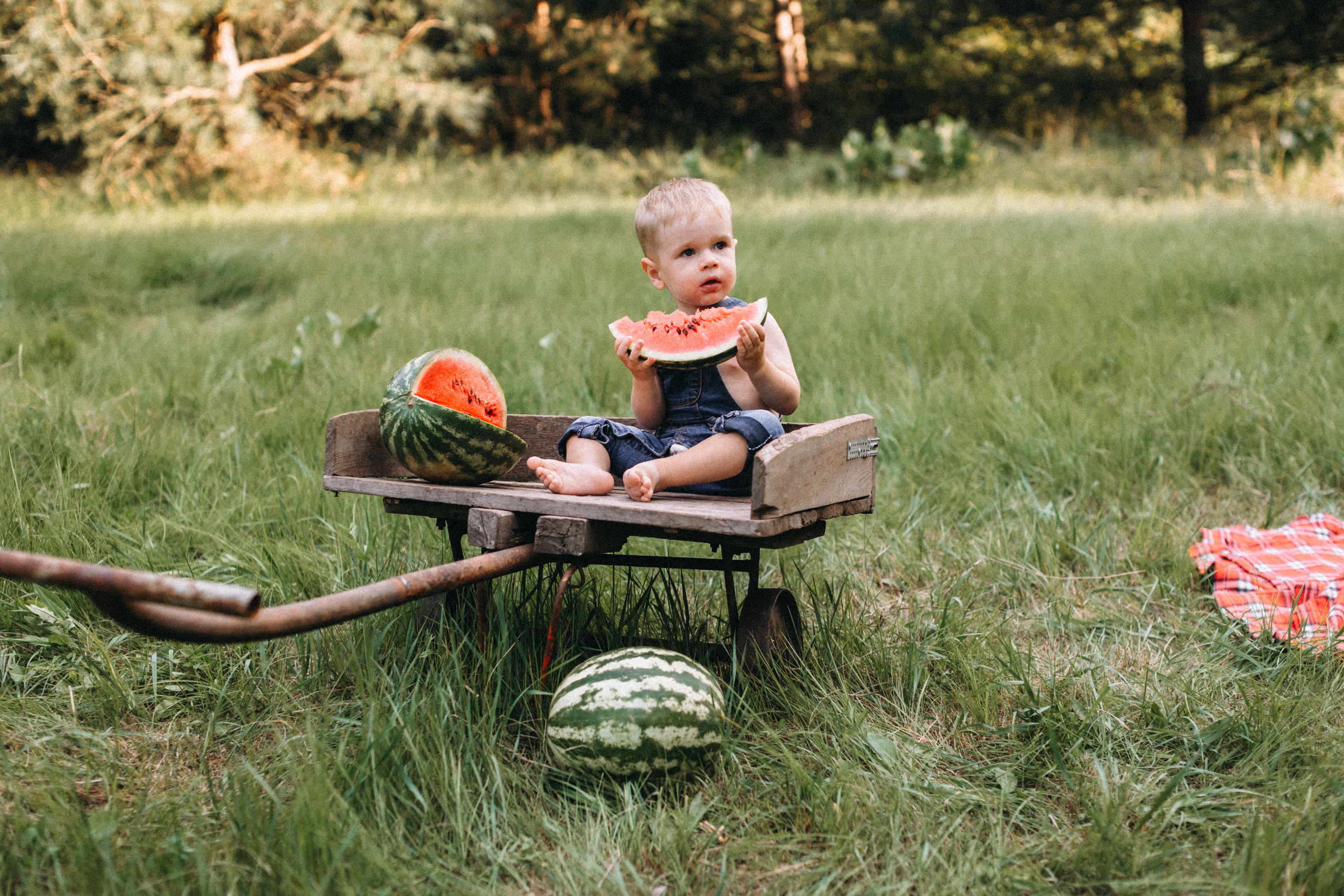 Перший кавун Михайлика. Портретний і сімейний фотограф Київ