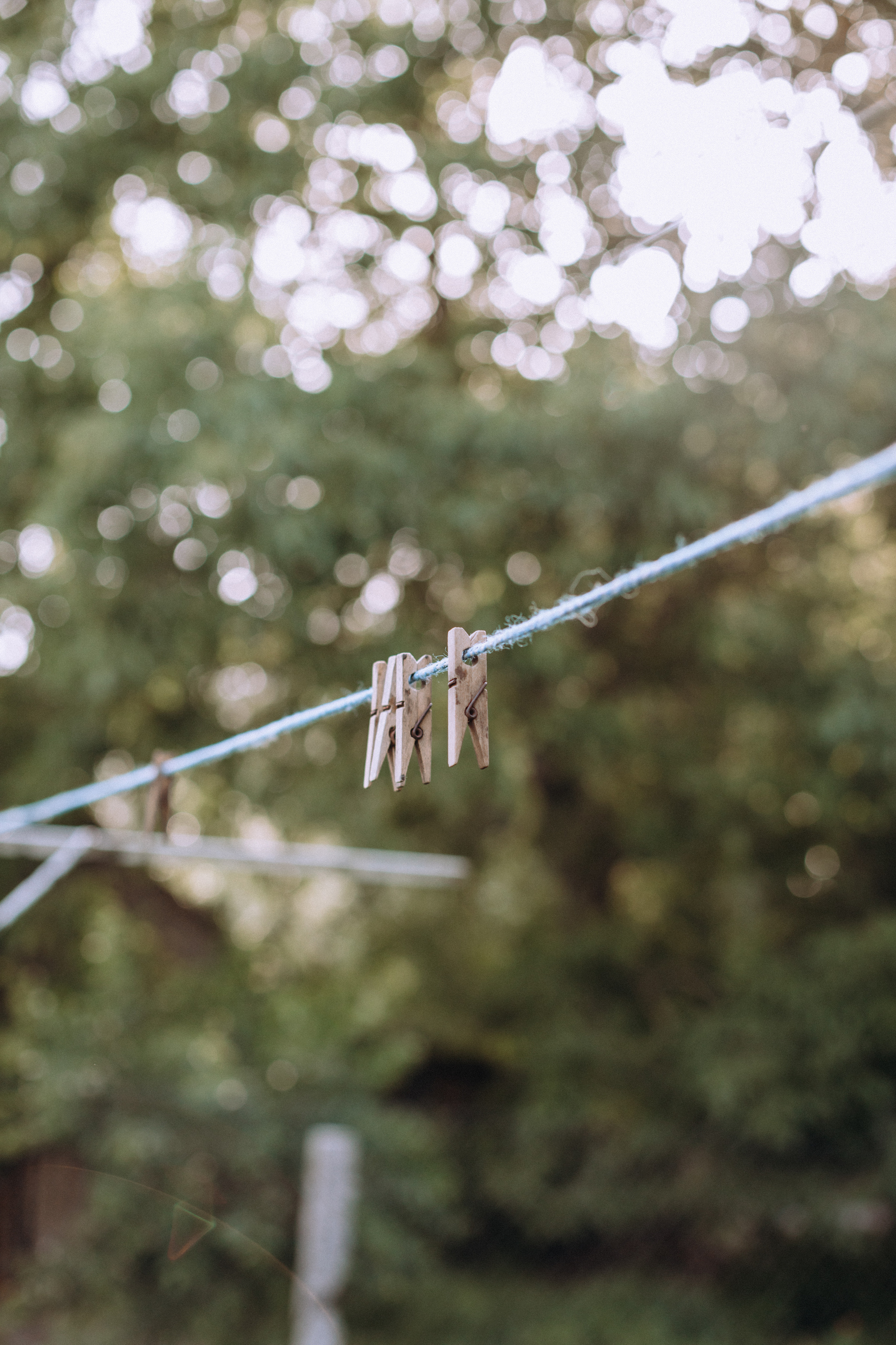 Bath in the garden. Портретний і сімейний фотограф Київ