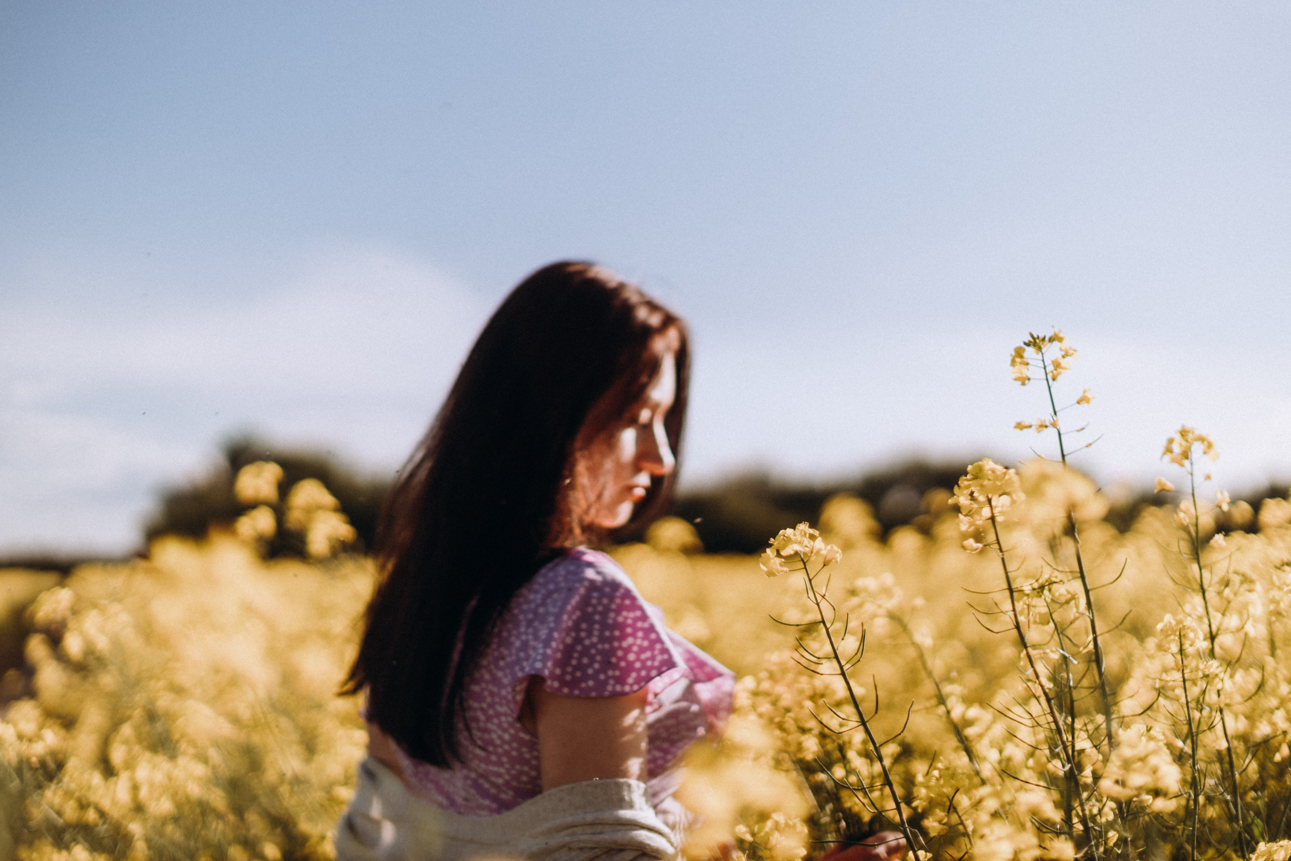 Рапсове поле. Портретний і сімейний фотограф Київ