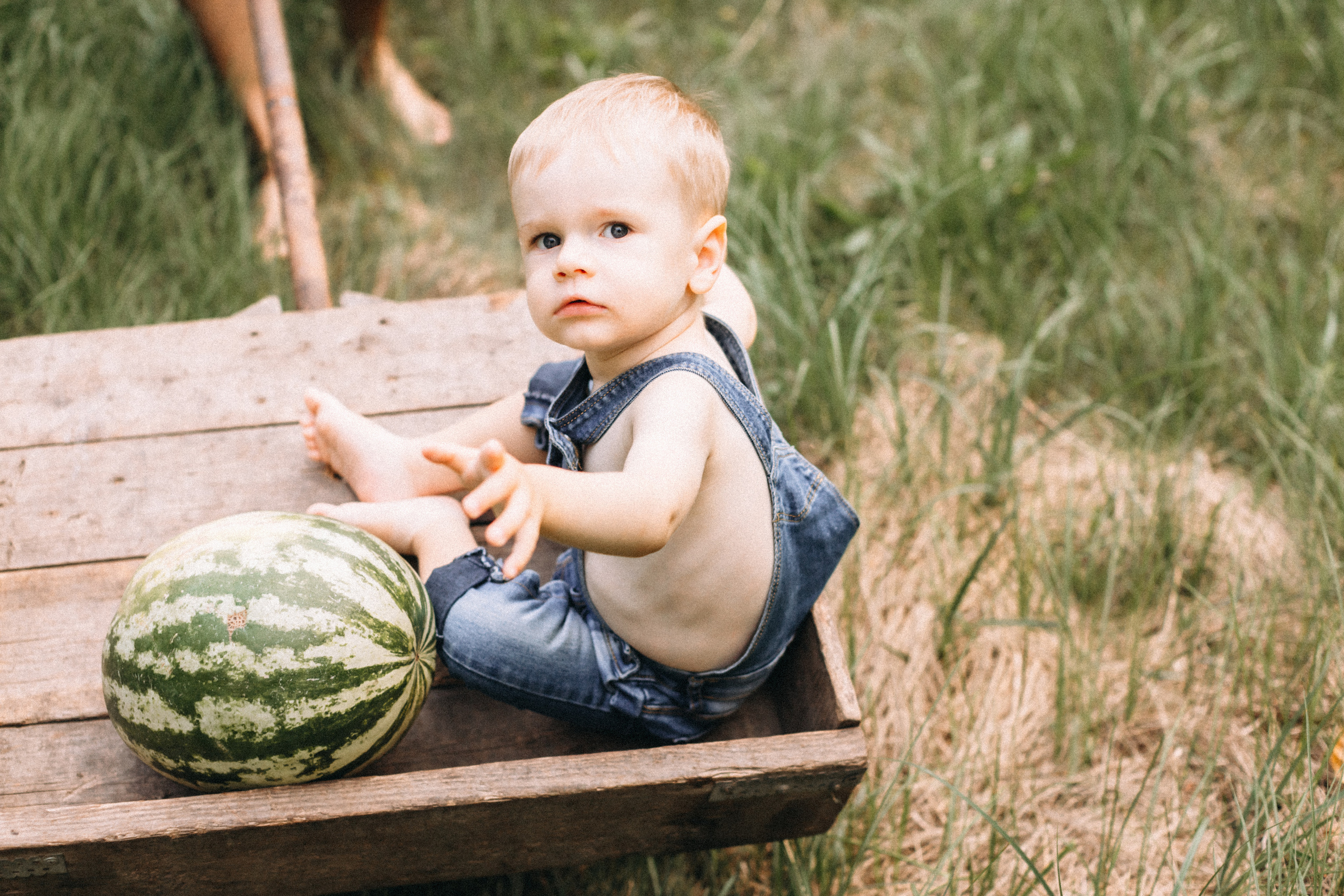 Перший кавун Михайлика. Портретний і сімейний фотограф Київ