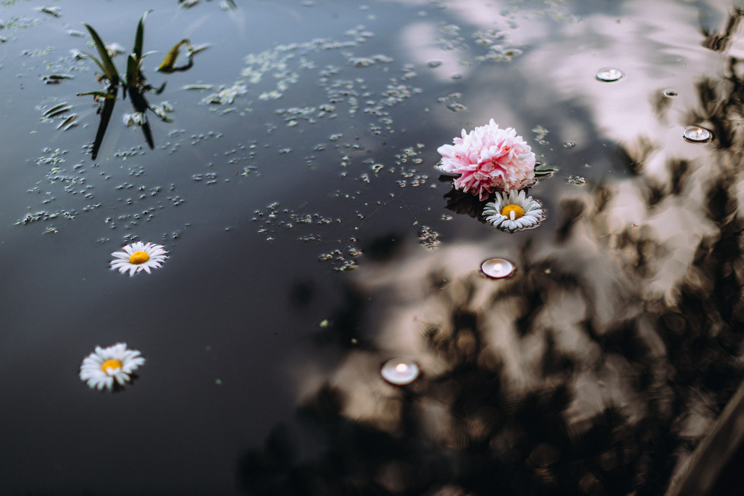 Peoni season. Портретний і сімейний фотограф Київ