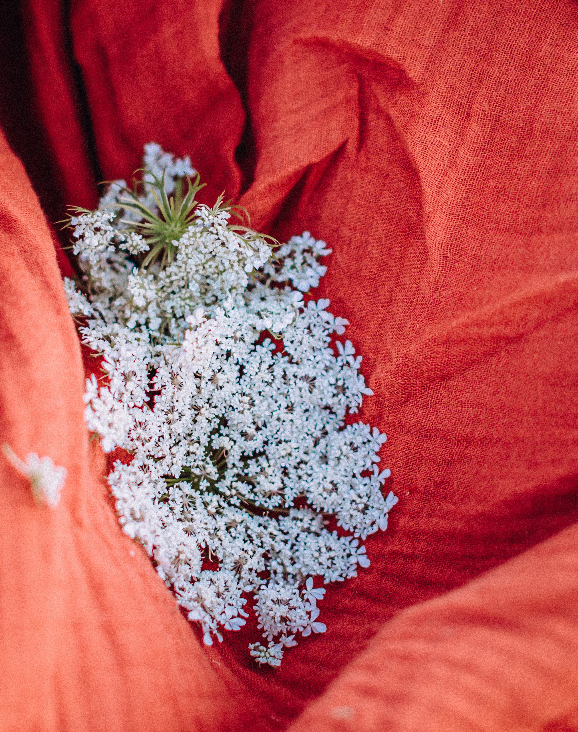 Sunflowers mummy&me. Портретний і сімейний фотограф Київ