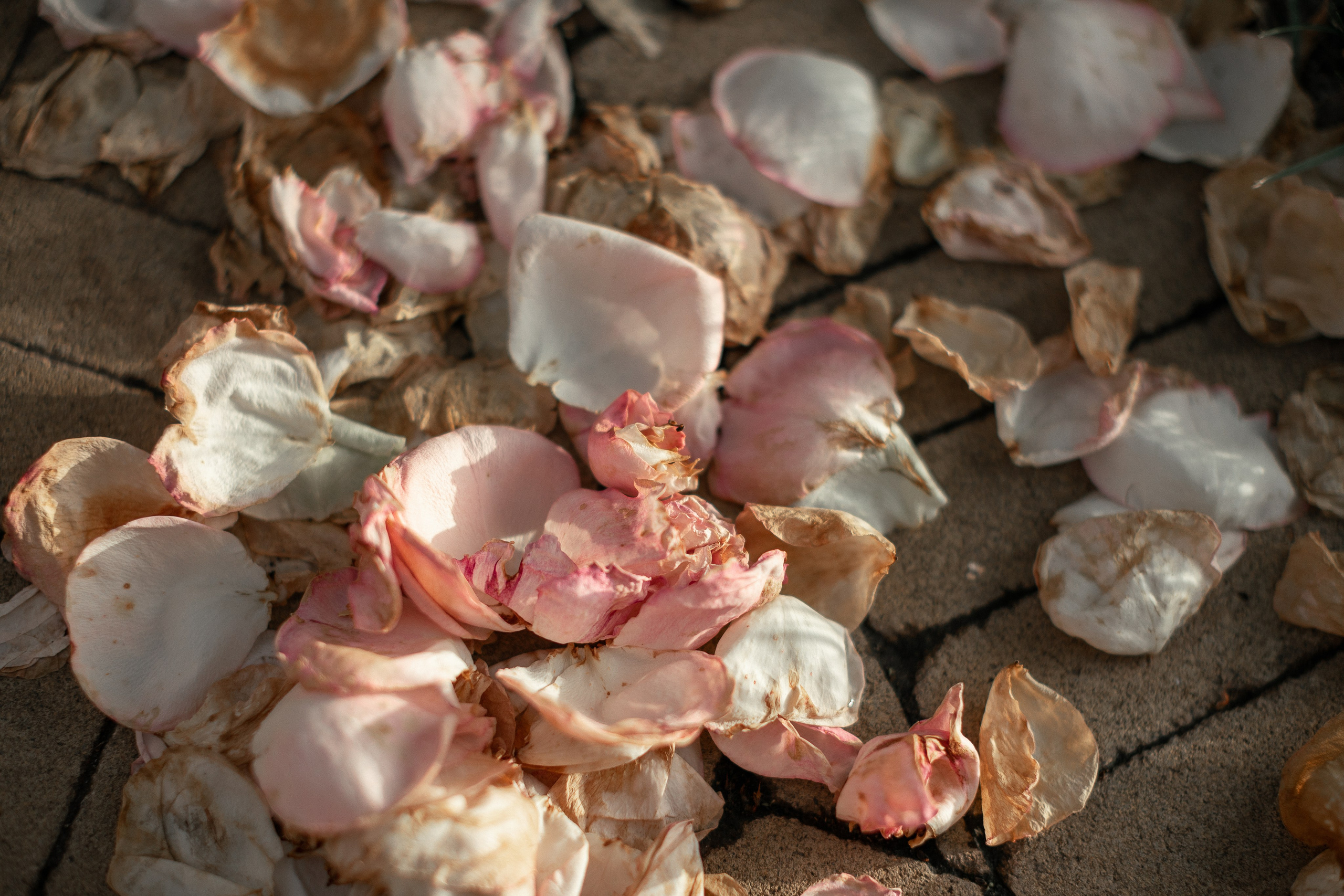 Secret Garden. Портретний і сімейний фотограф Київ
