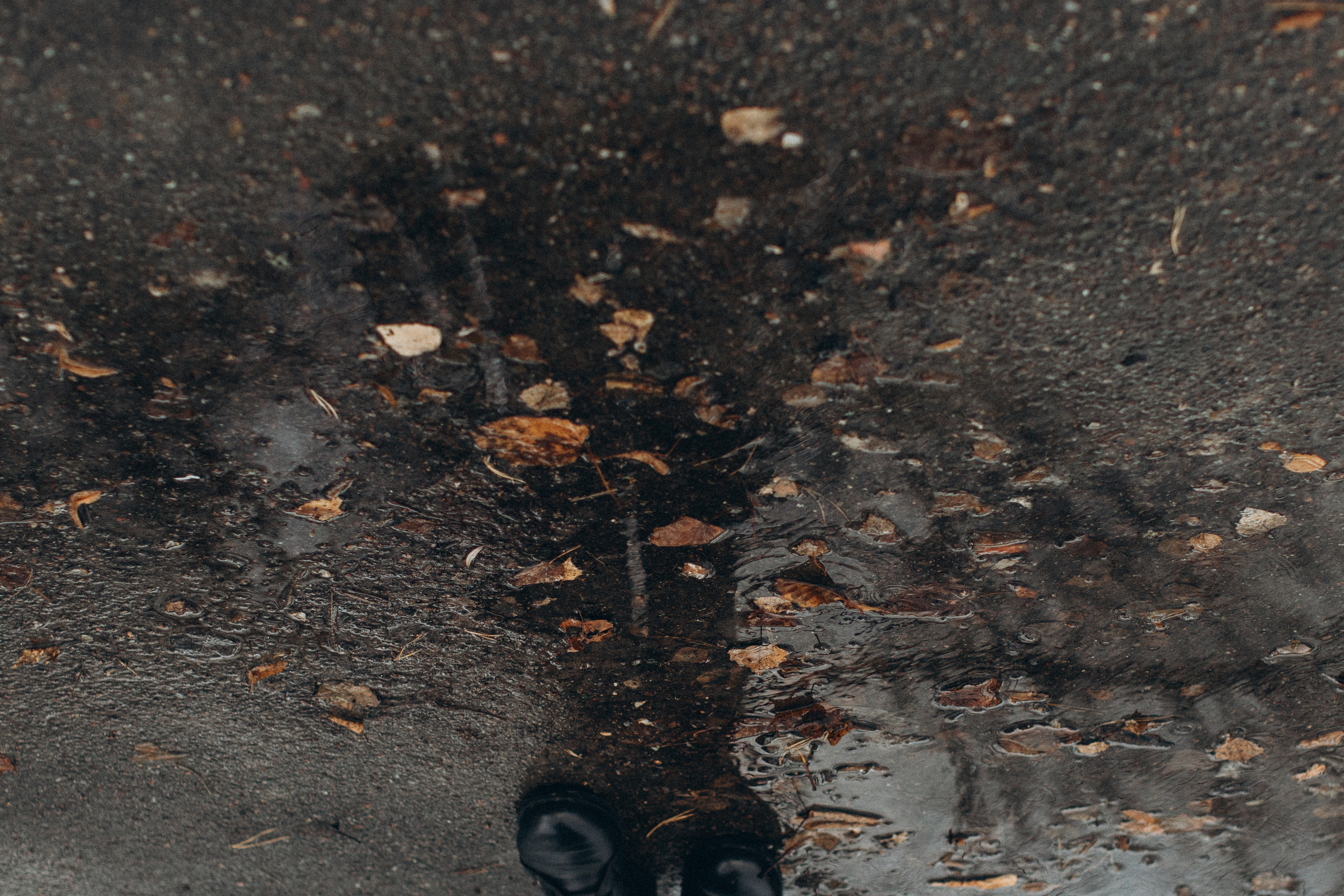 Надя. Портретний і сімейний фотограф Київ