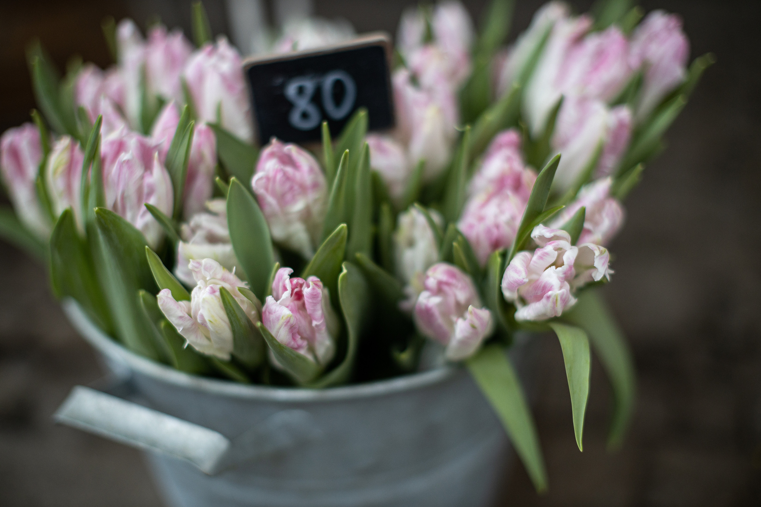 Кловський сад. Портретний і сімейний фотограф Київ