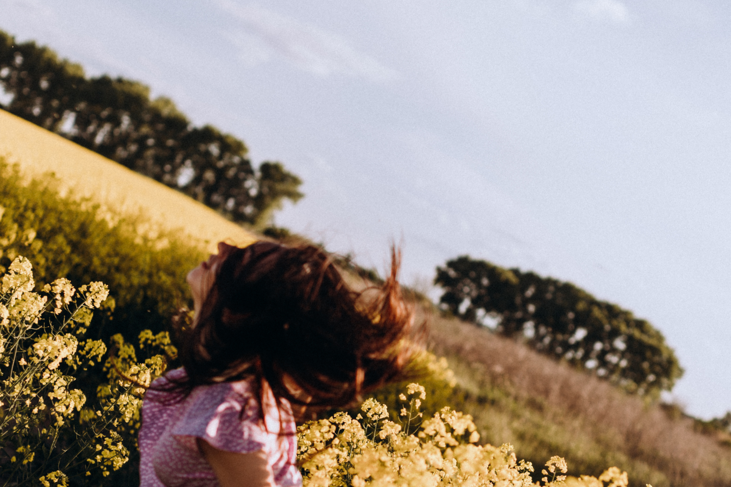 Рапсове поле. Портретний і сімейний фотограф Київ