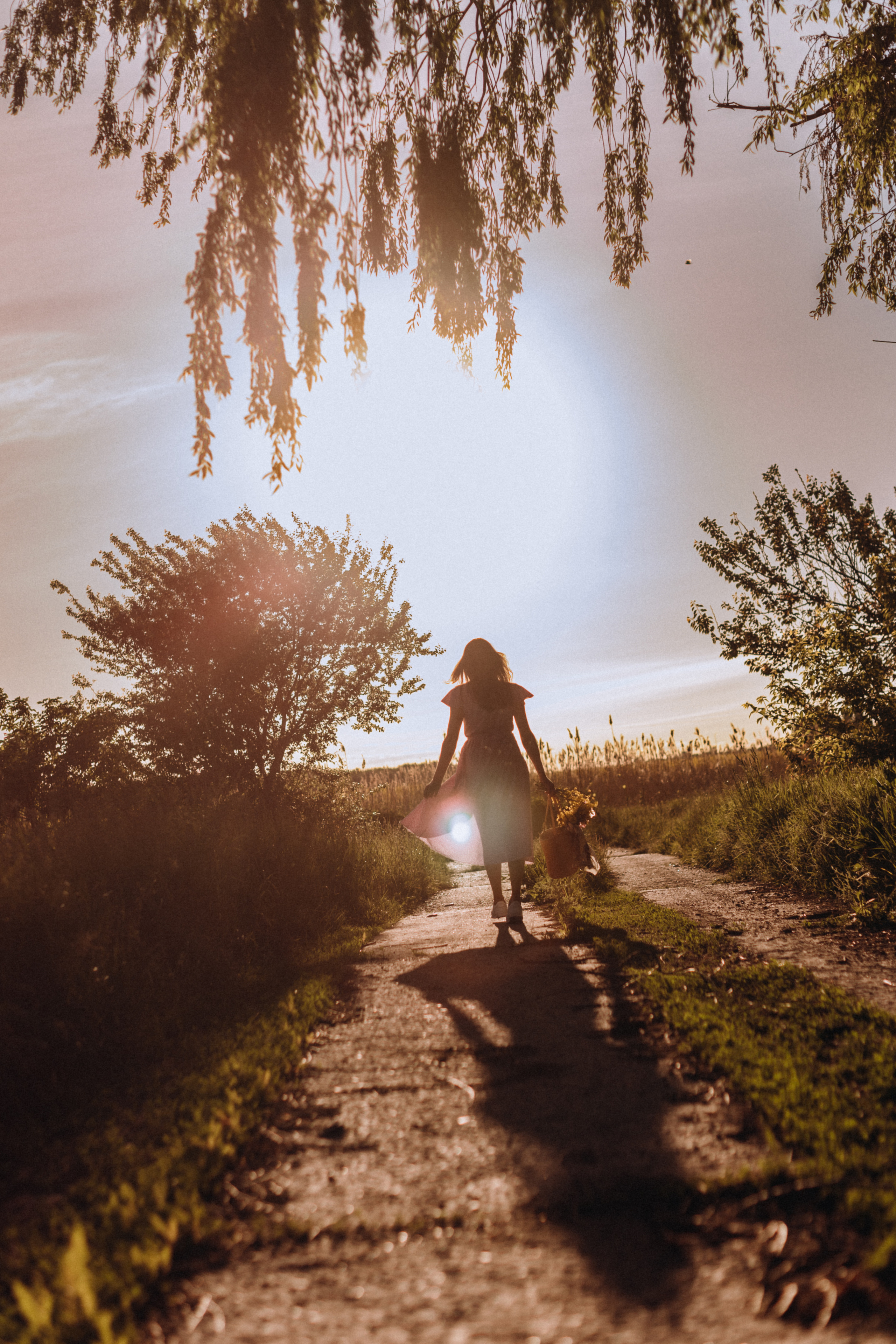 Рапсове поле. Портретний і сімейний фотограф Київ